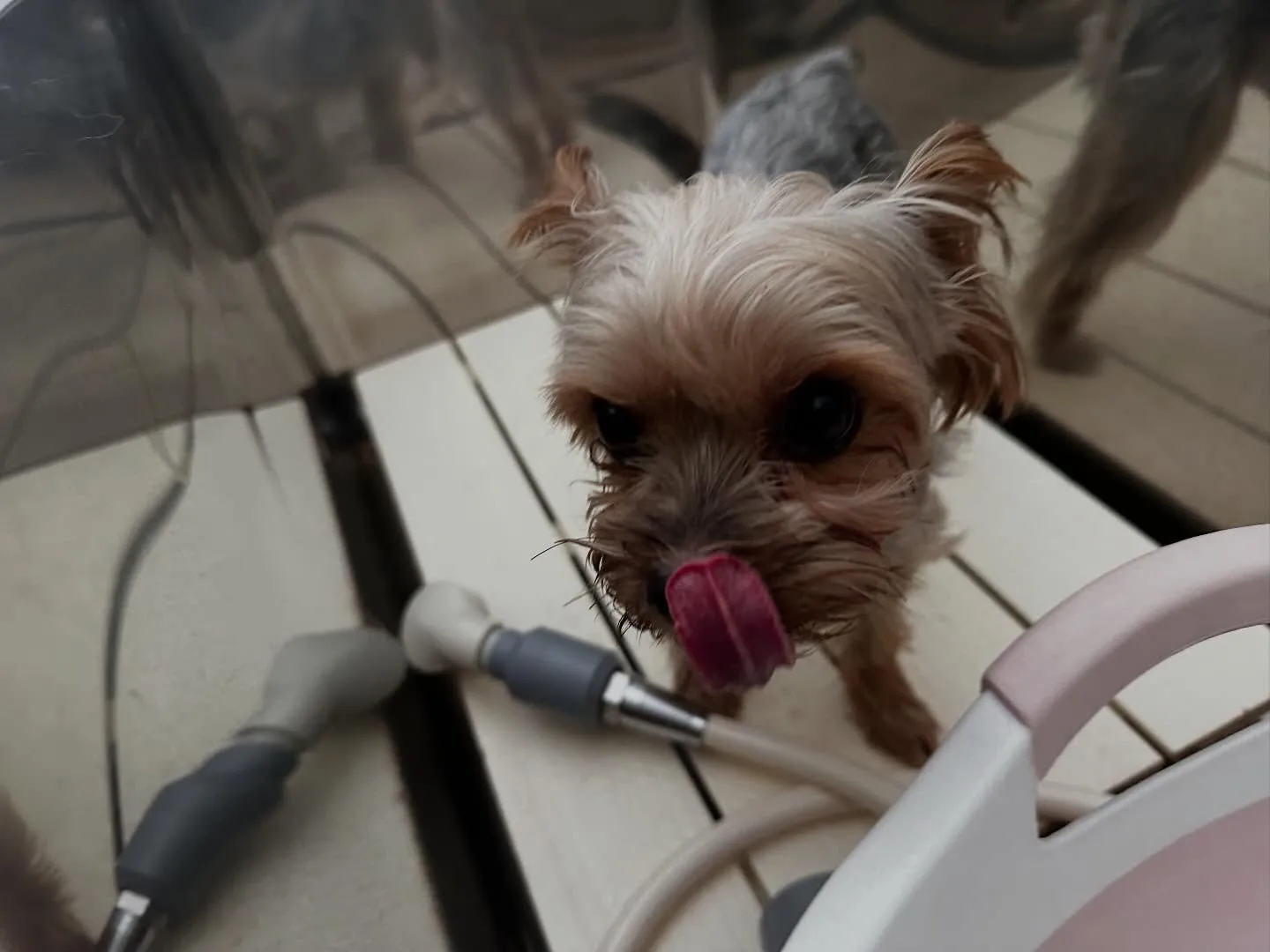 【年納めイベント予約受付開始のお知らせ】