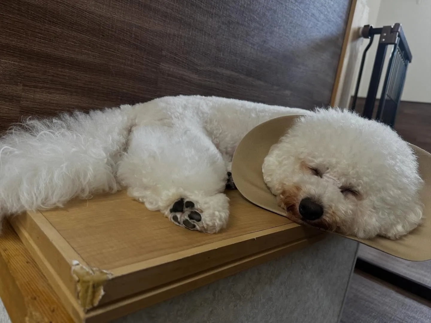 【年納めイベント  予約締切】