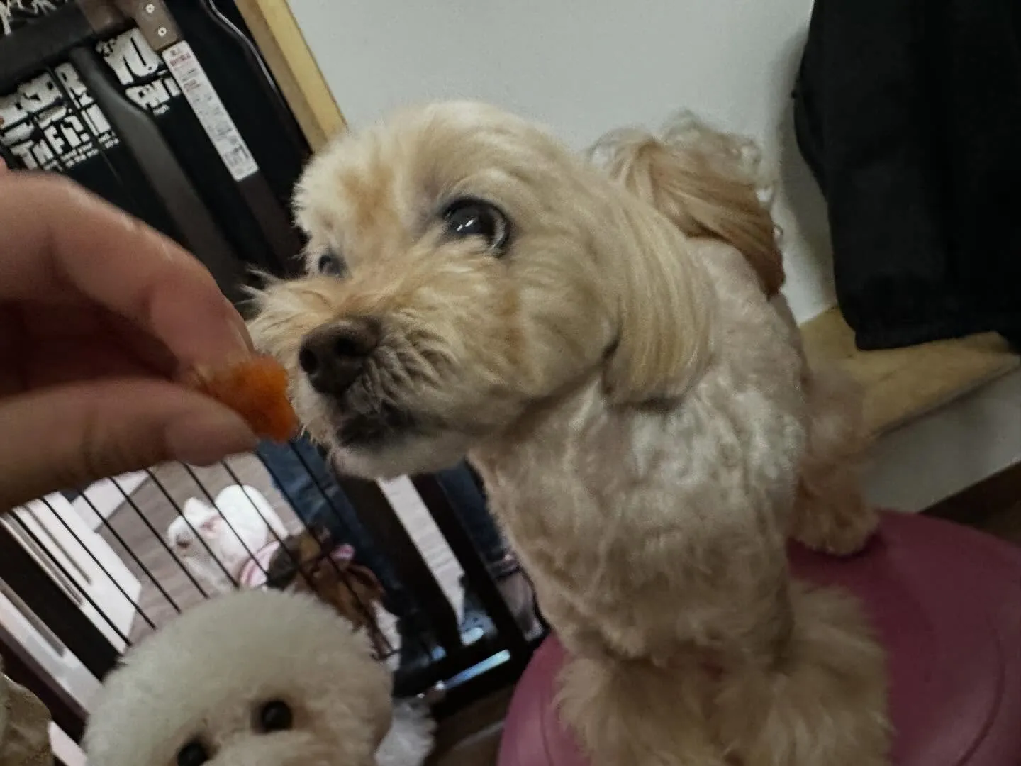 【年納めイベント  予約締切】