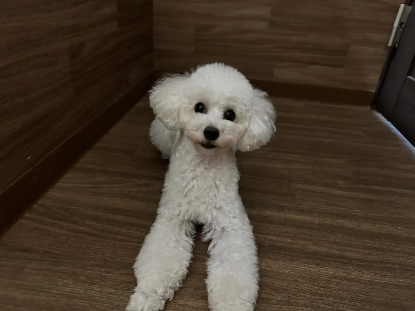 【年納めイベント  予約締切】