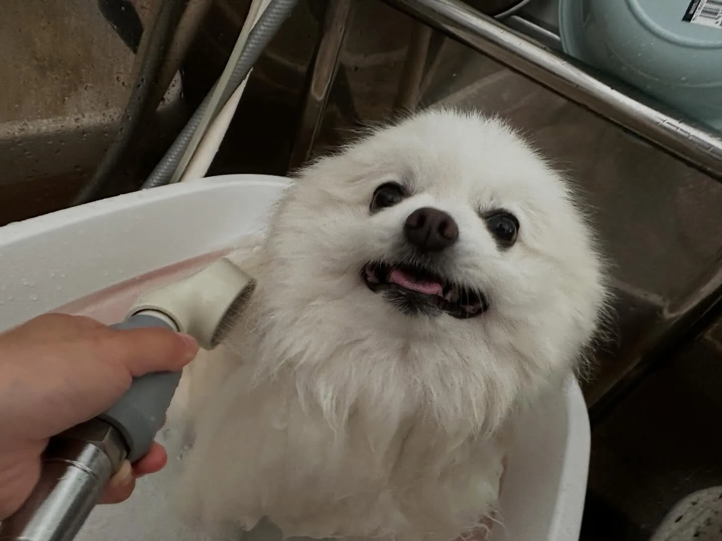 【年納めイベント  予約締切】