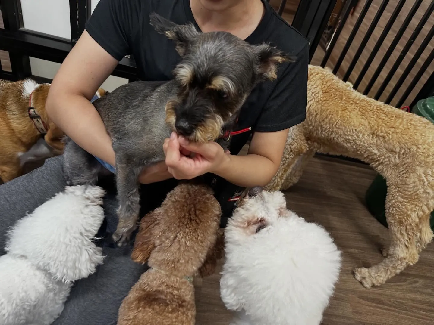 【年納めイベント  予約締切】