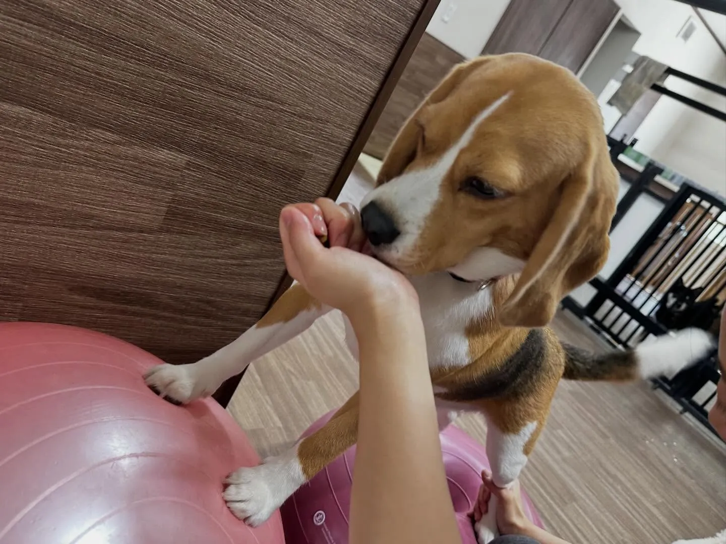 【年納めイベント  予約締切】