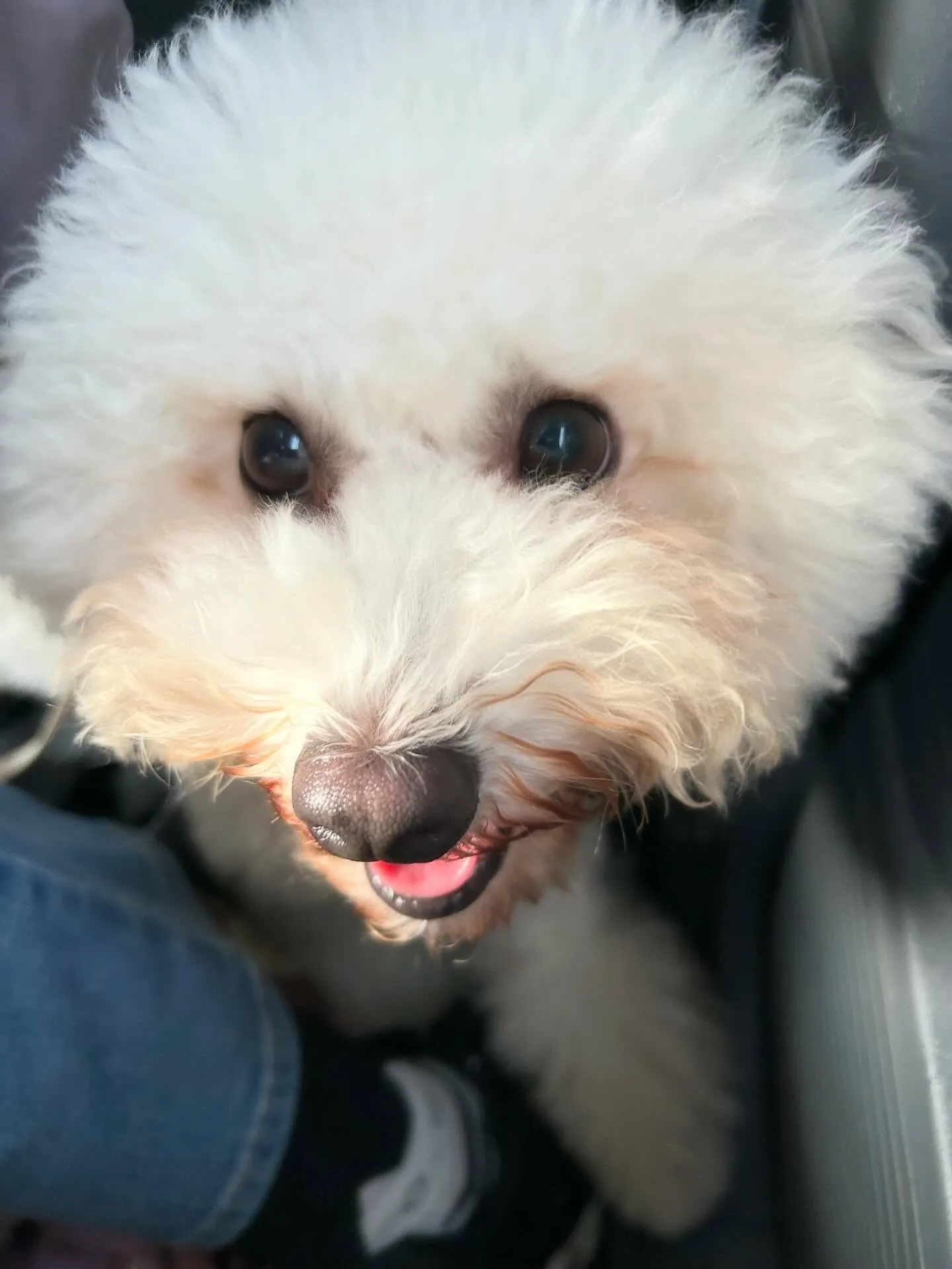 今日はぽんずくんのお誕生日です🎊👏