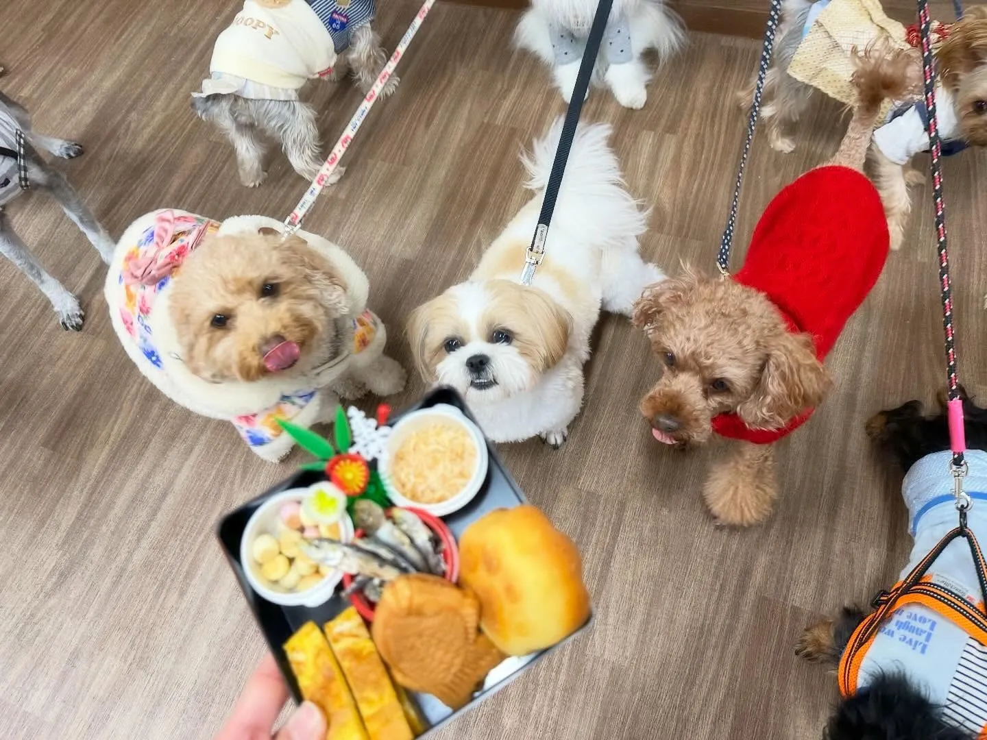 【新年イベント開催のお知らせ】