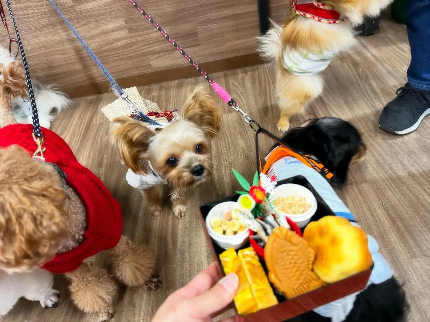 【新年イベント開催のお知らせ】