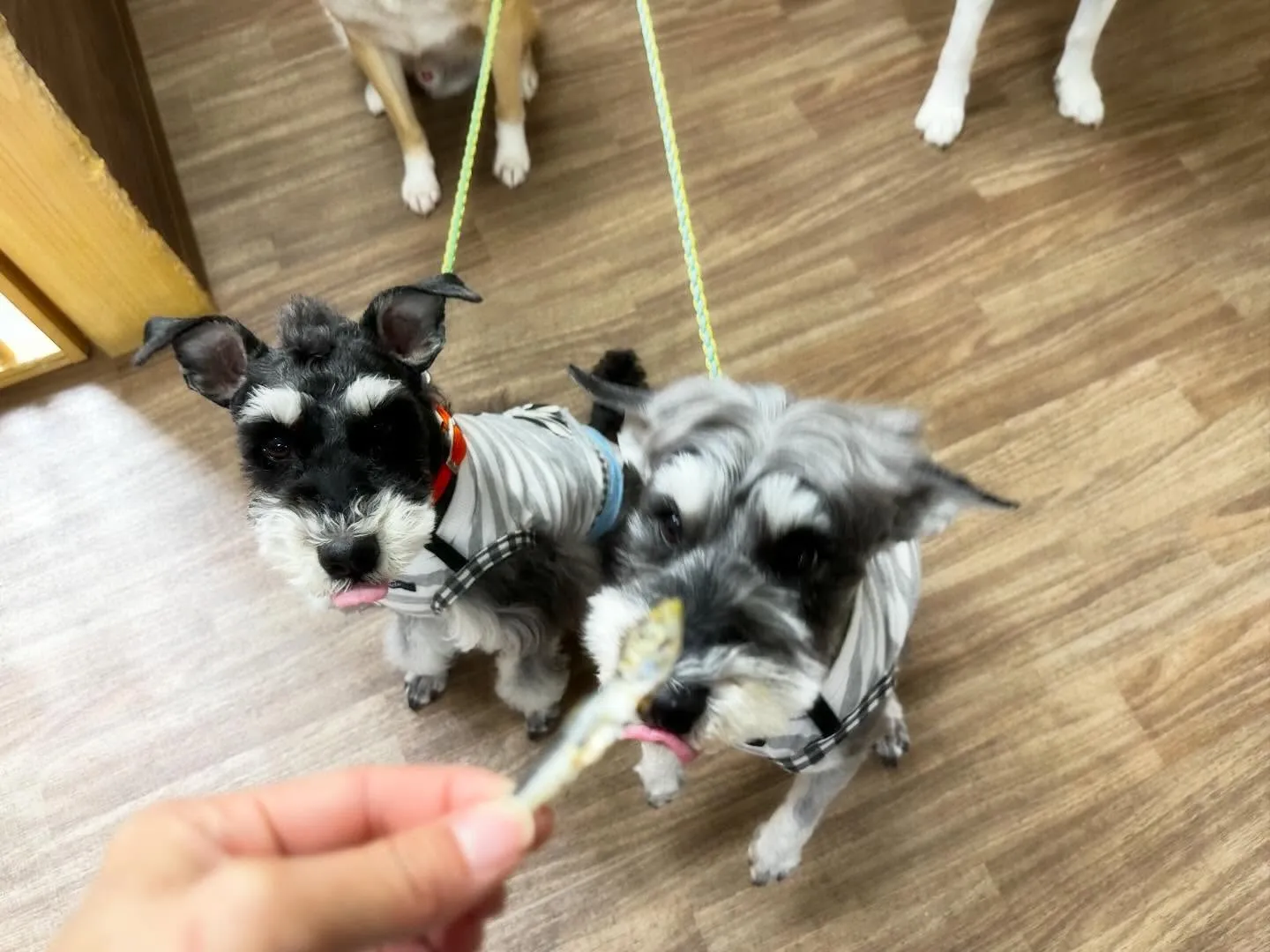 【新年イベント開催のお知らせ】