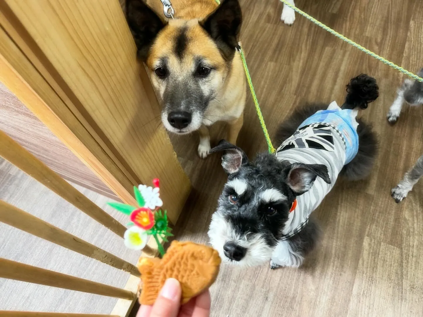 【新年イベント開催のお知らせ】