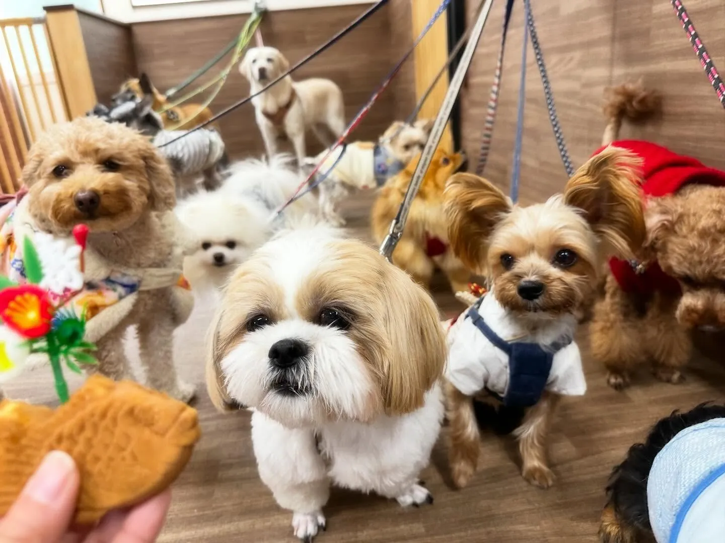 【新年イベント開催のお知らせ】