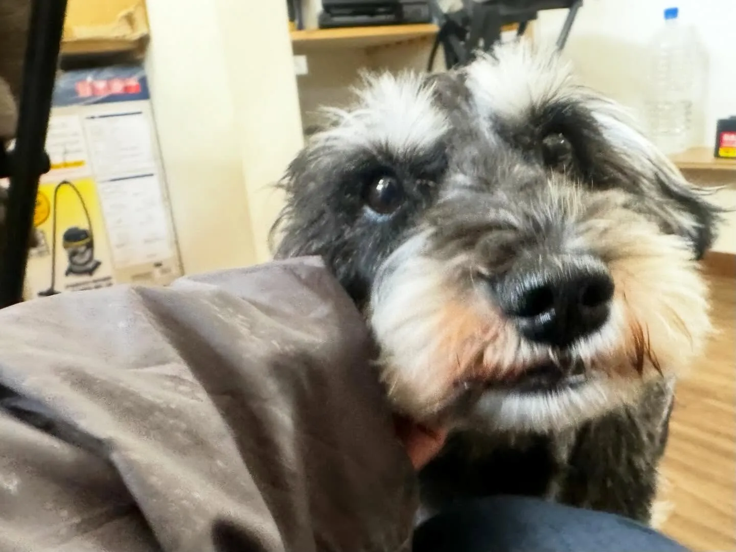 【新年イベント開催のお知らせ】