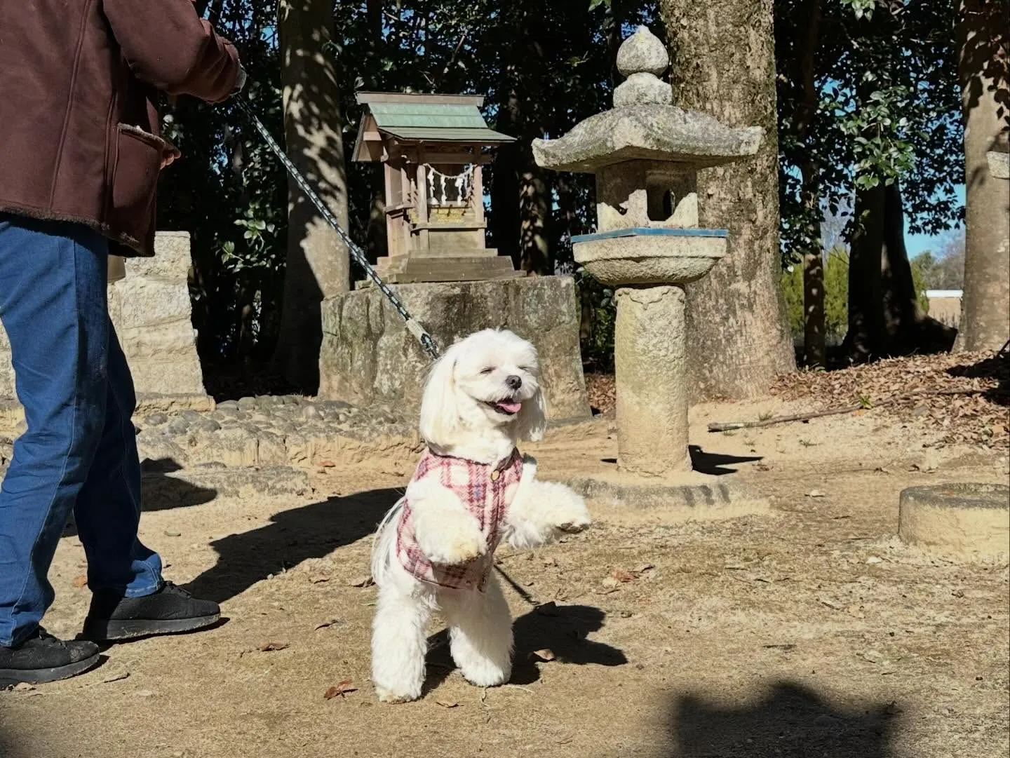 【新年イベント 予約受付終了のお知らせ】