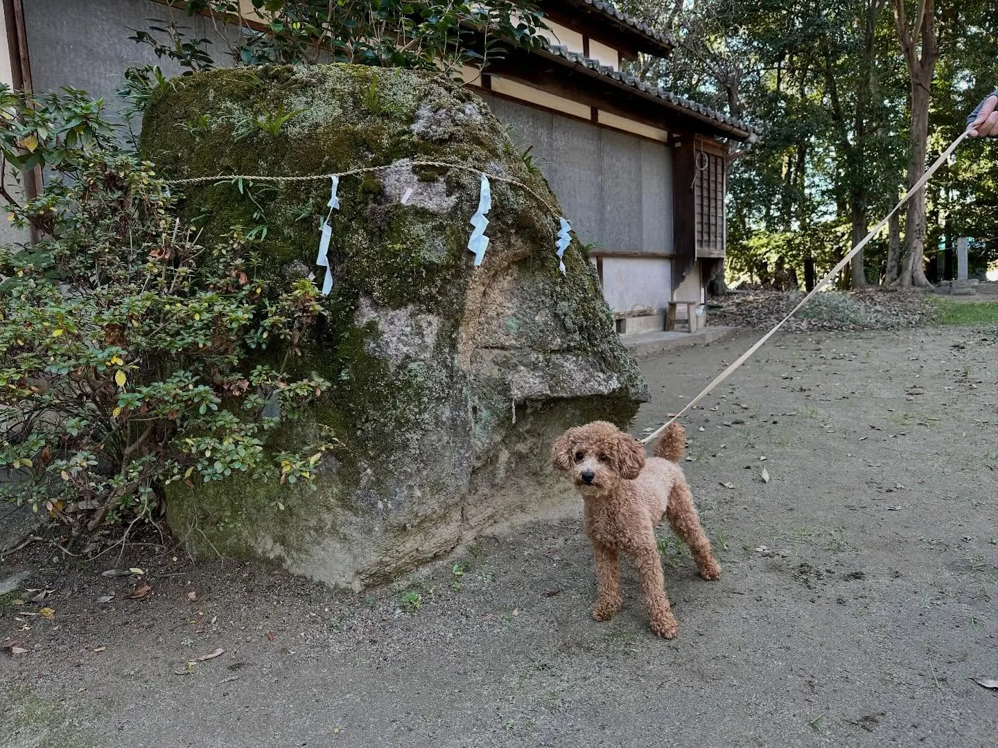 【新年イベント 予約受付終了のお知らせ】