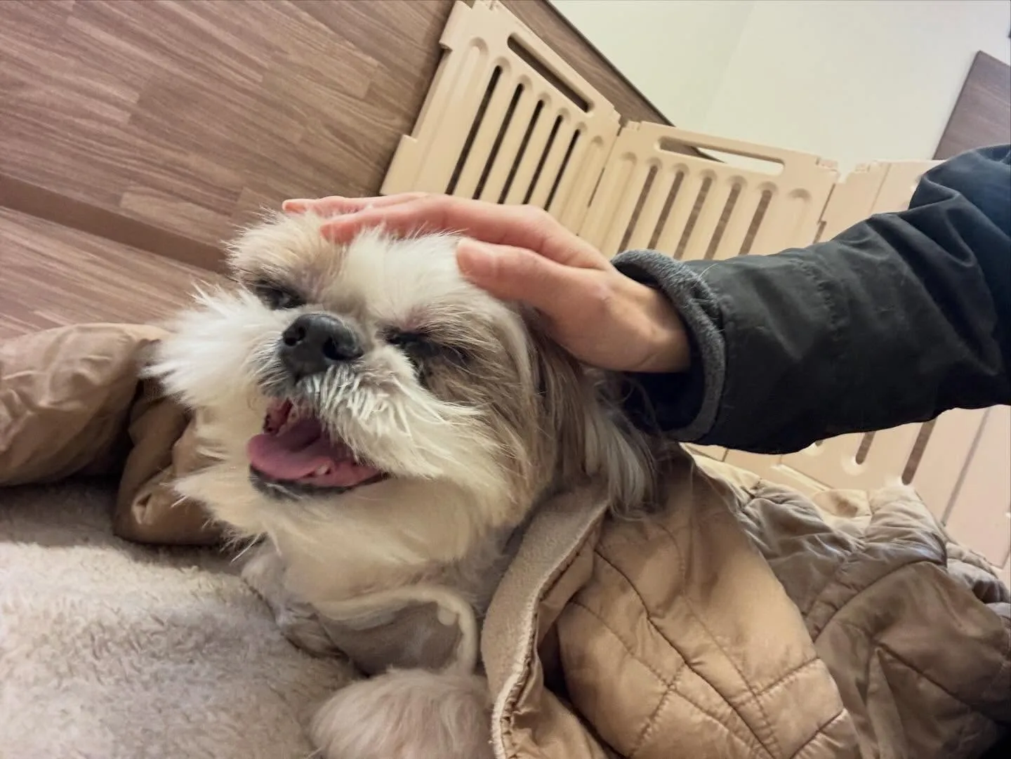 【新年イベント 予約受付終了のお知らせ】