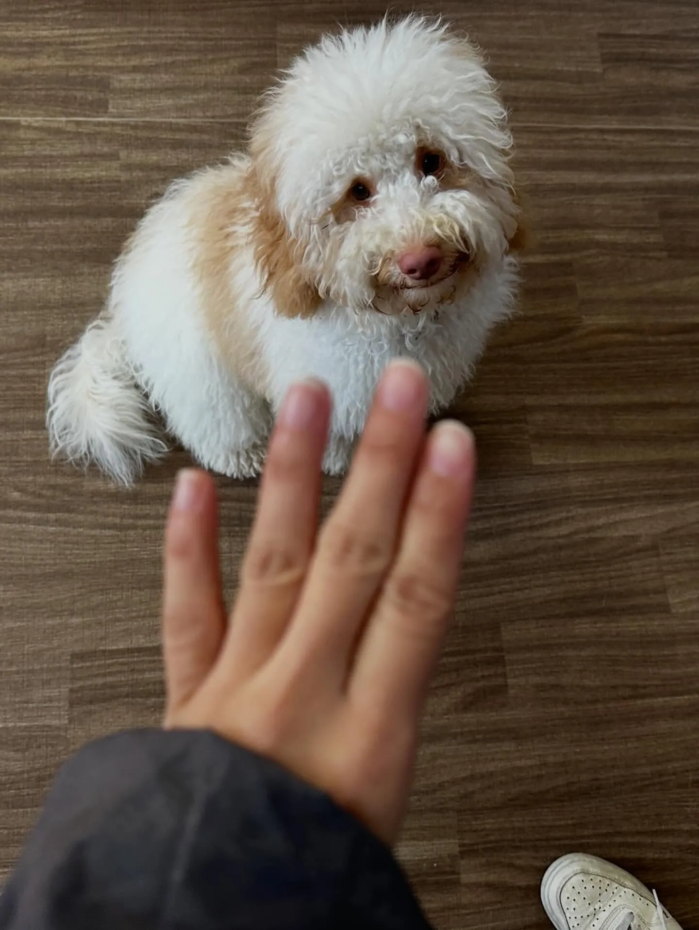 2月の営業カレンダーです❣️