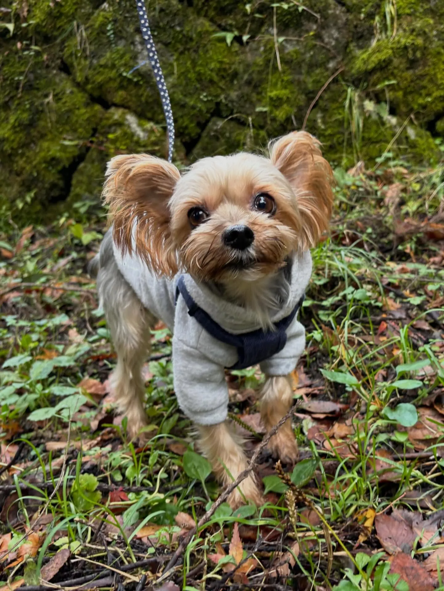 2月の営業カレンダーです❣️