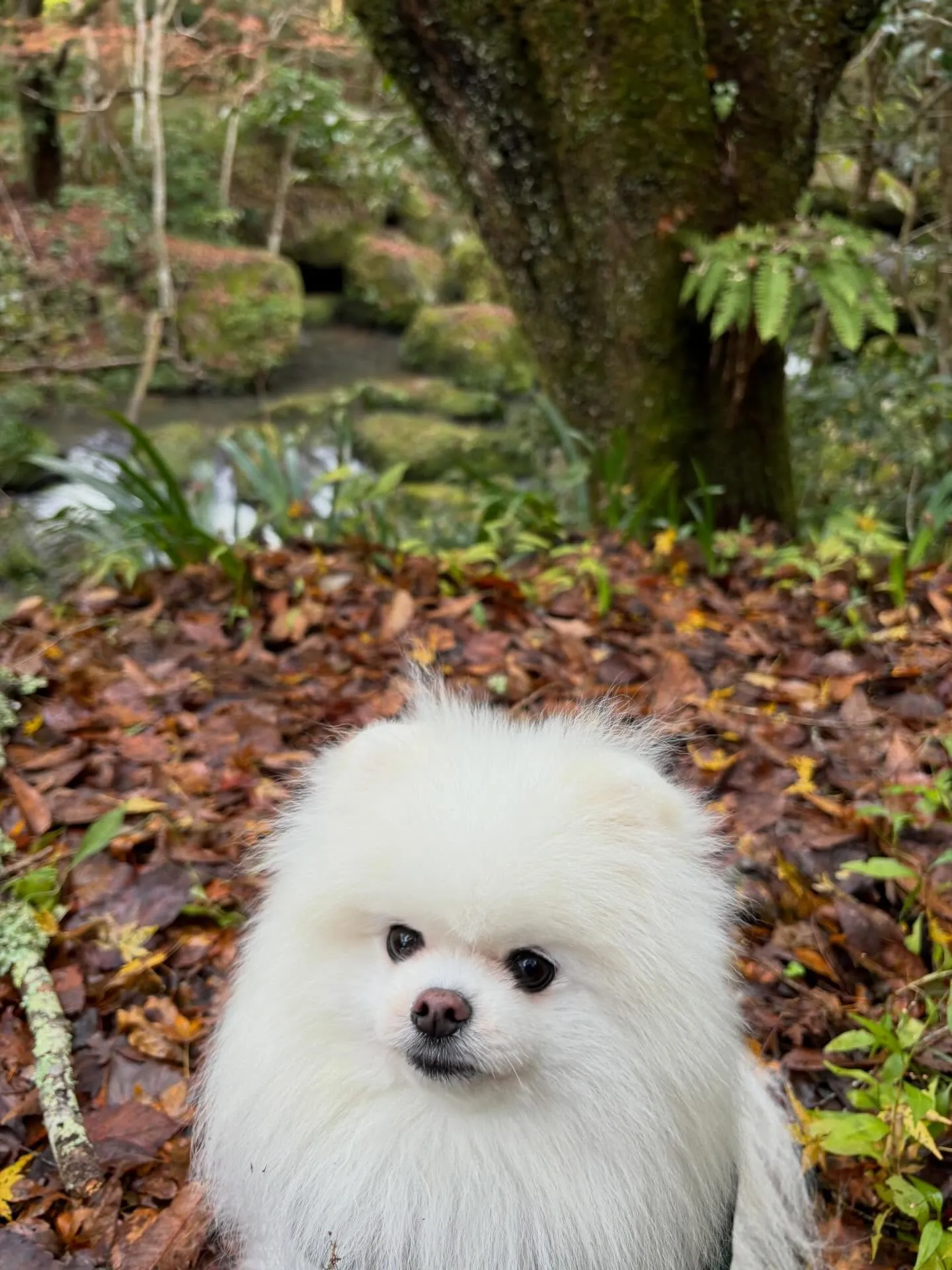 2月の営業カレンダーです❣️