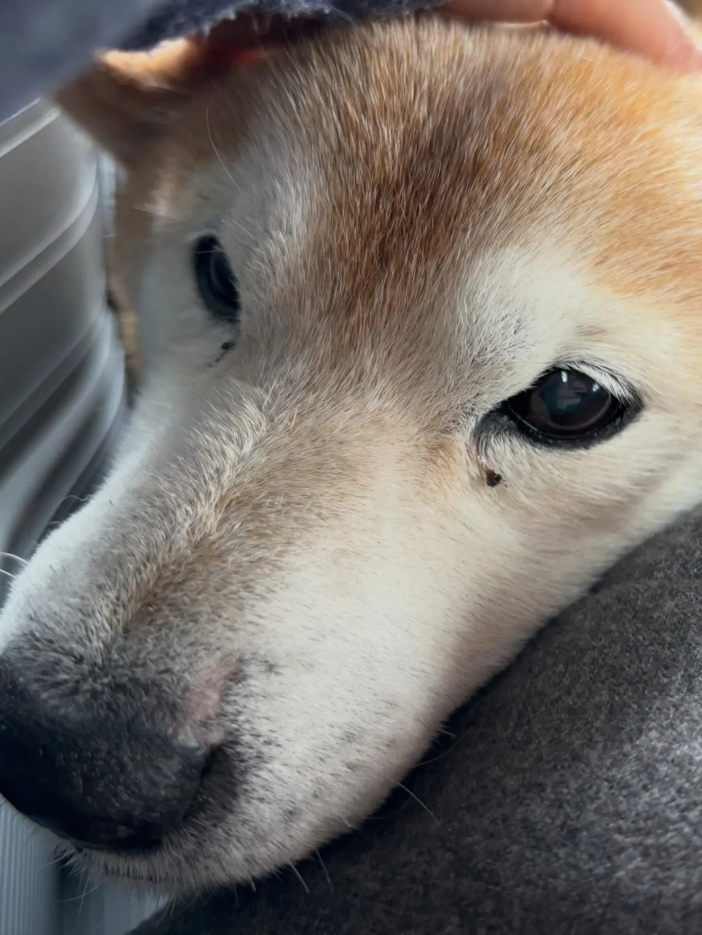 2月の営業カレンダーです❣️