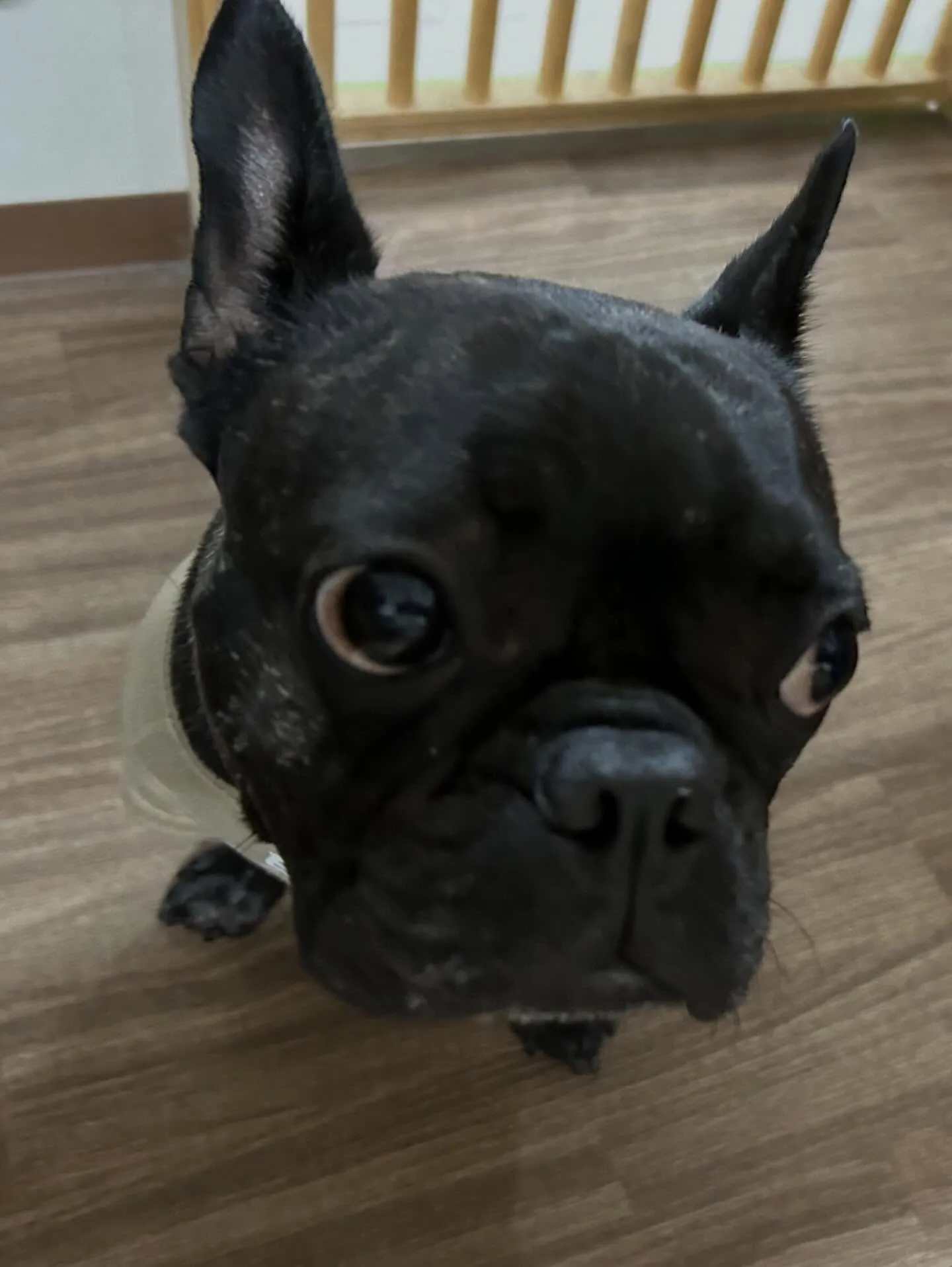 2月の営業カレンダーです❣️