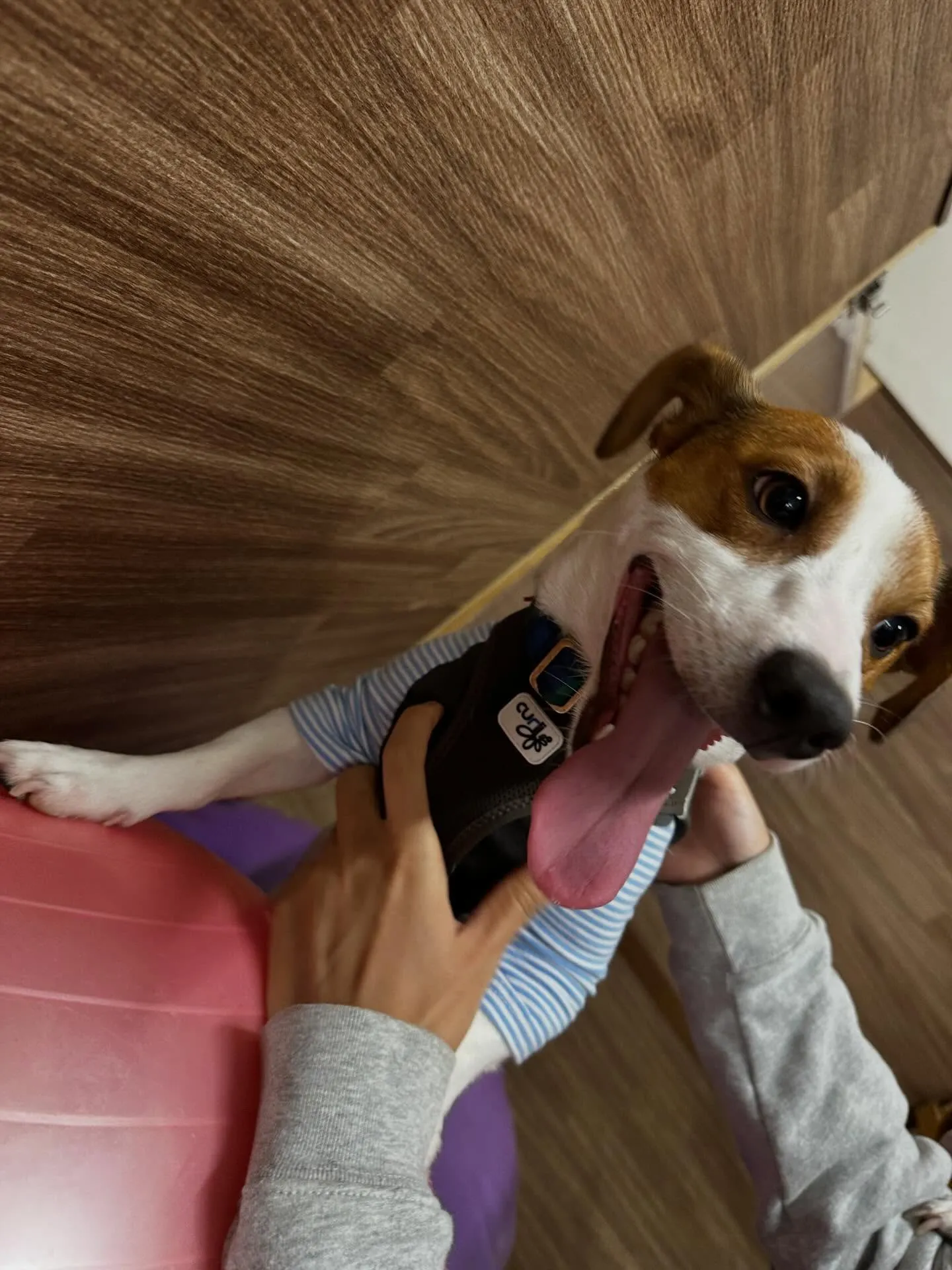 2月の営業カレンダーです❣️