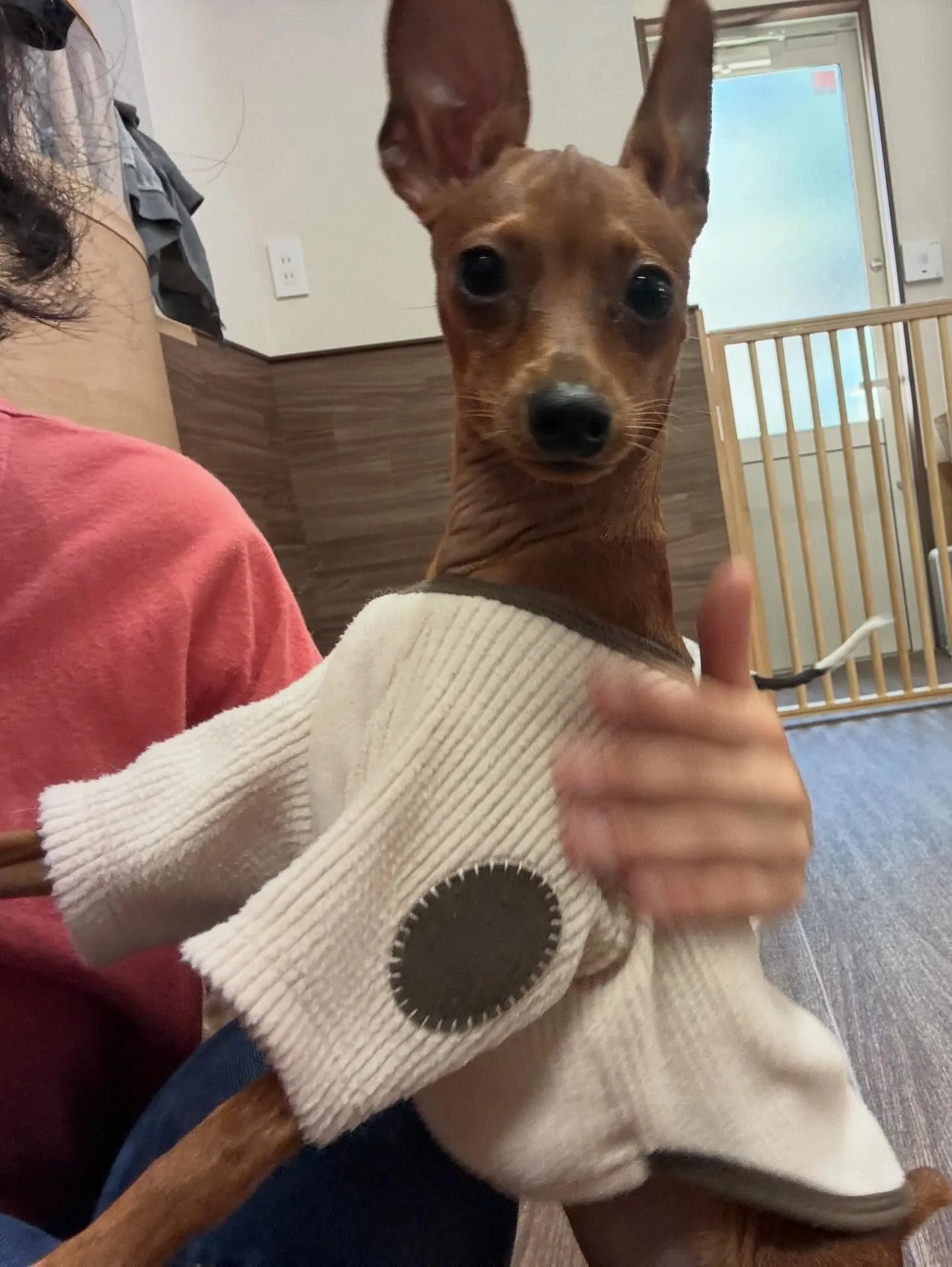 2月の営業カレンダーです❣️