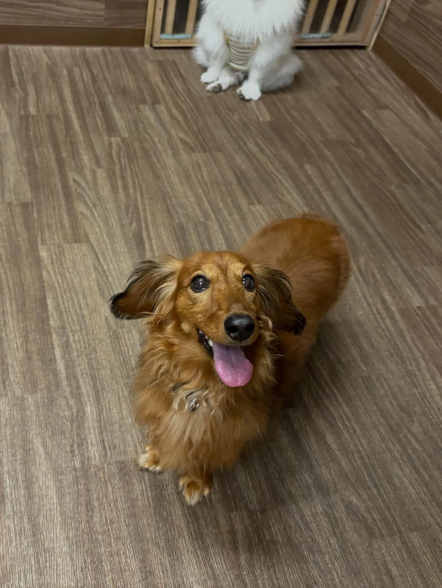 2月の営業カレンダーです❣️