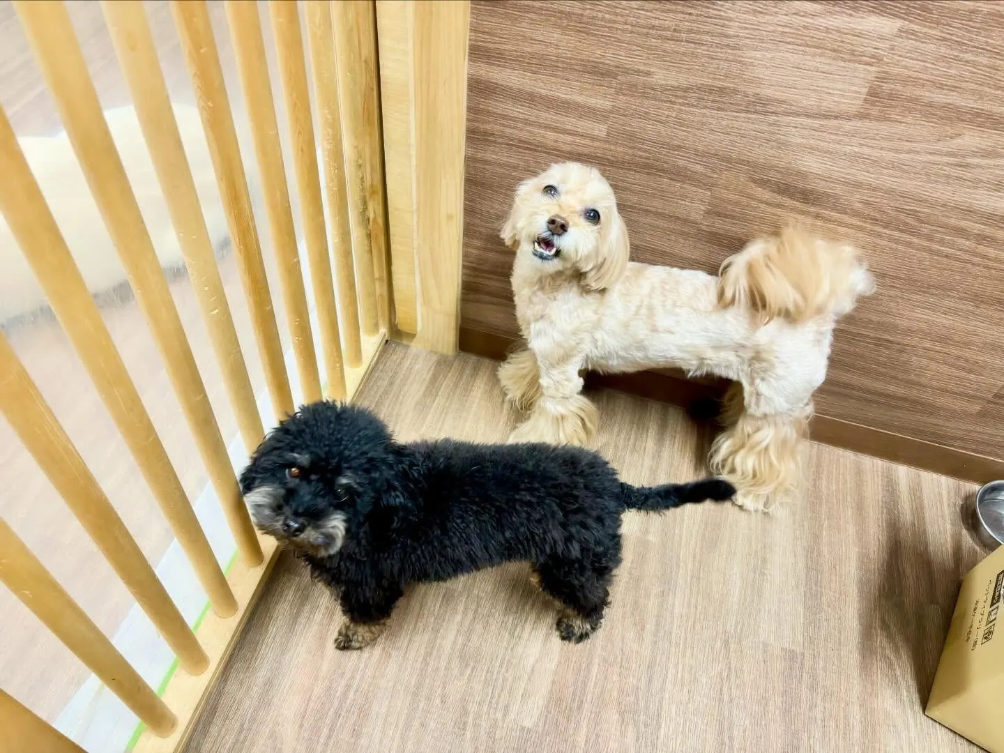 12月のおすすめ商品🎄