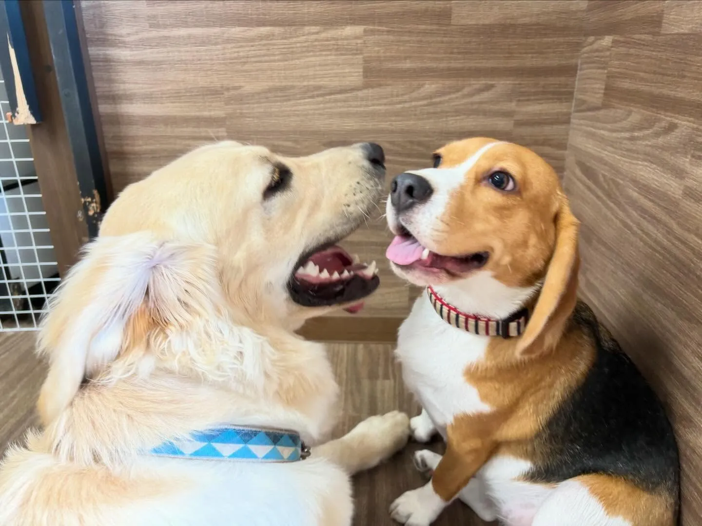 12月のおすすめ商品🎄