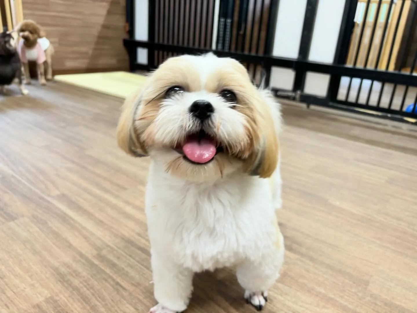 12月のおすすめ商品🎄