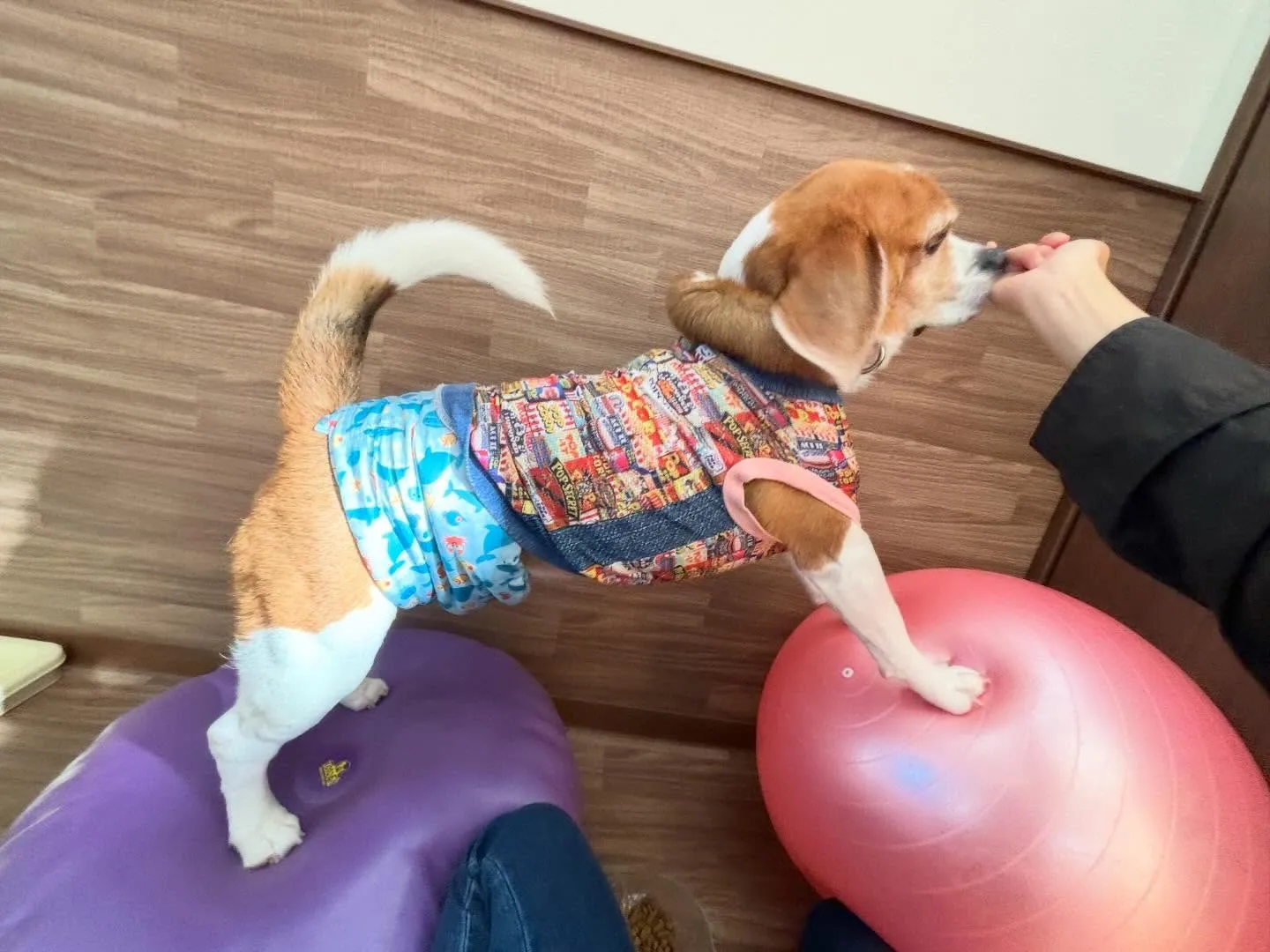 12月のおすすめ商品🎄