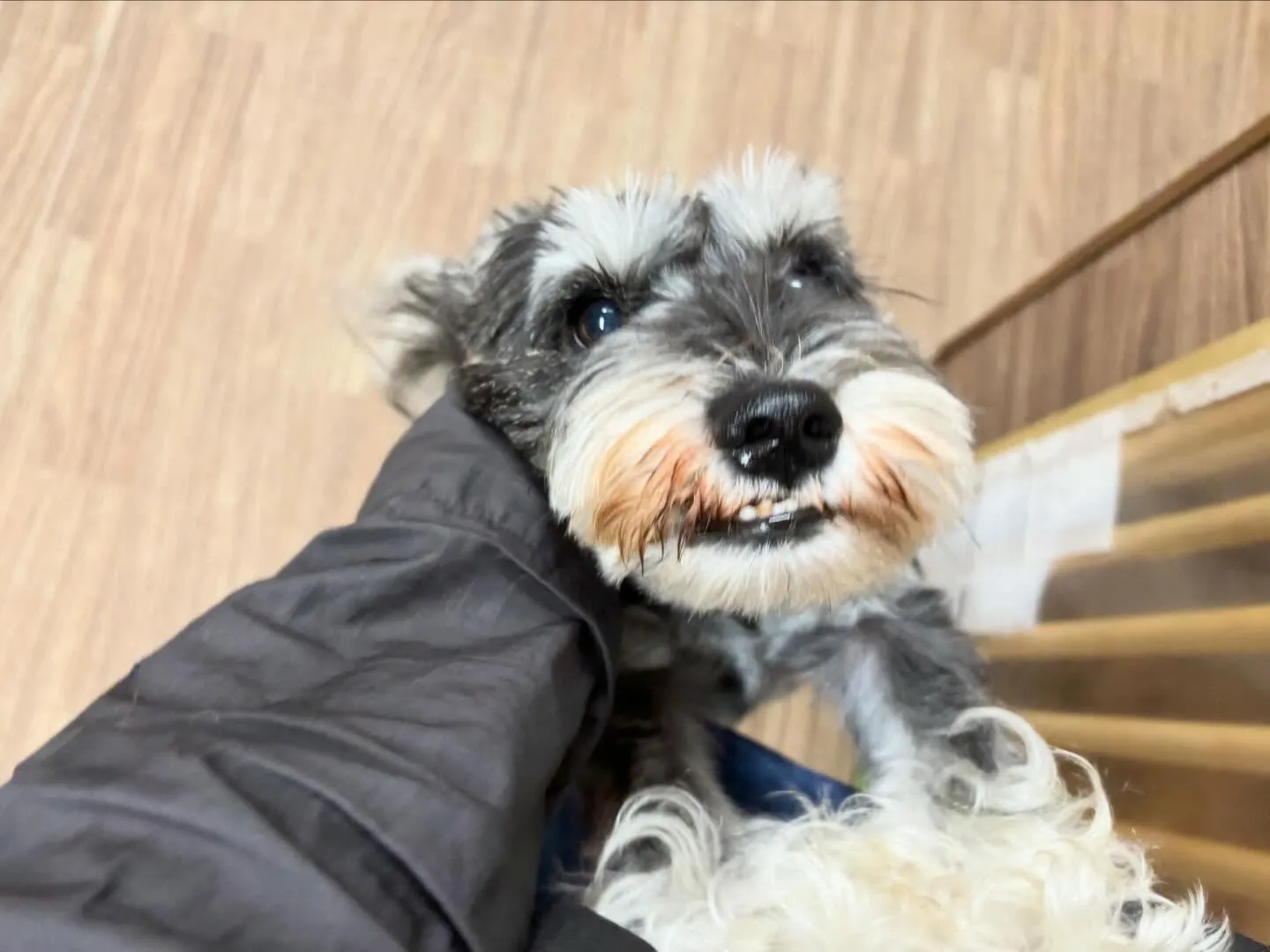 12月のおすすめ商品🎄