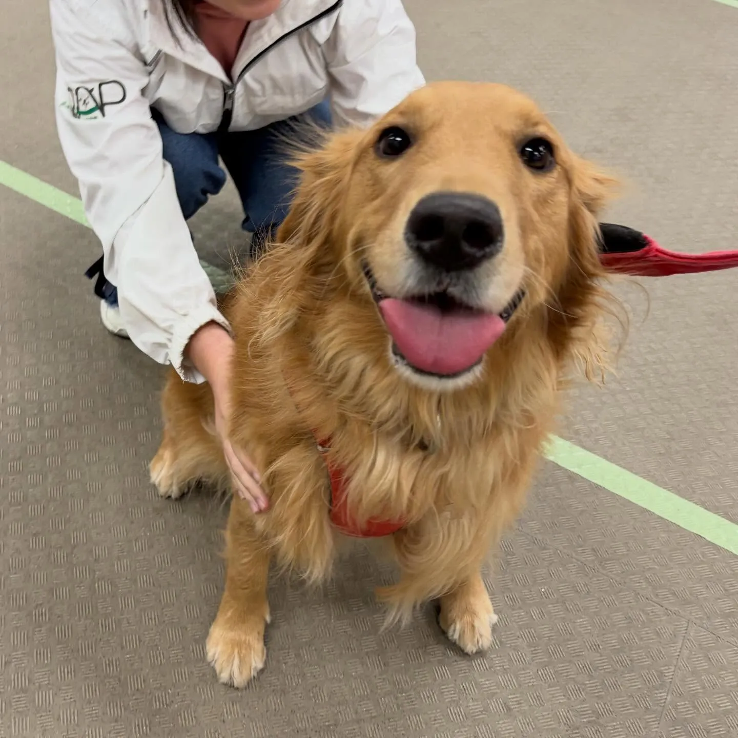 昨日はりんちゃんと一緒に専門学校に行ってきました🐾