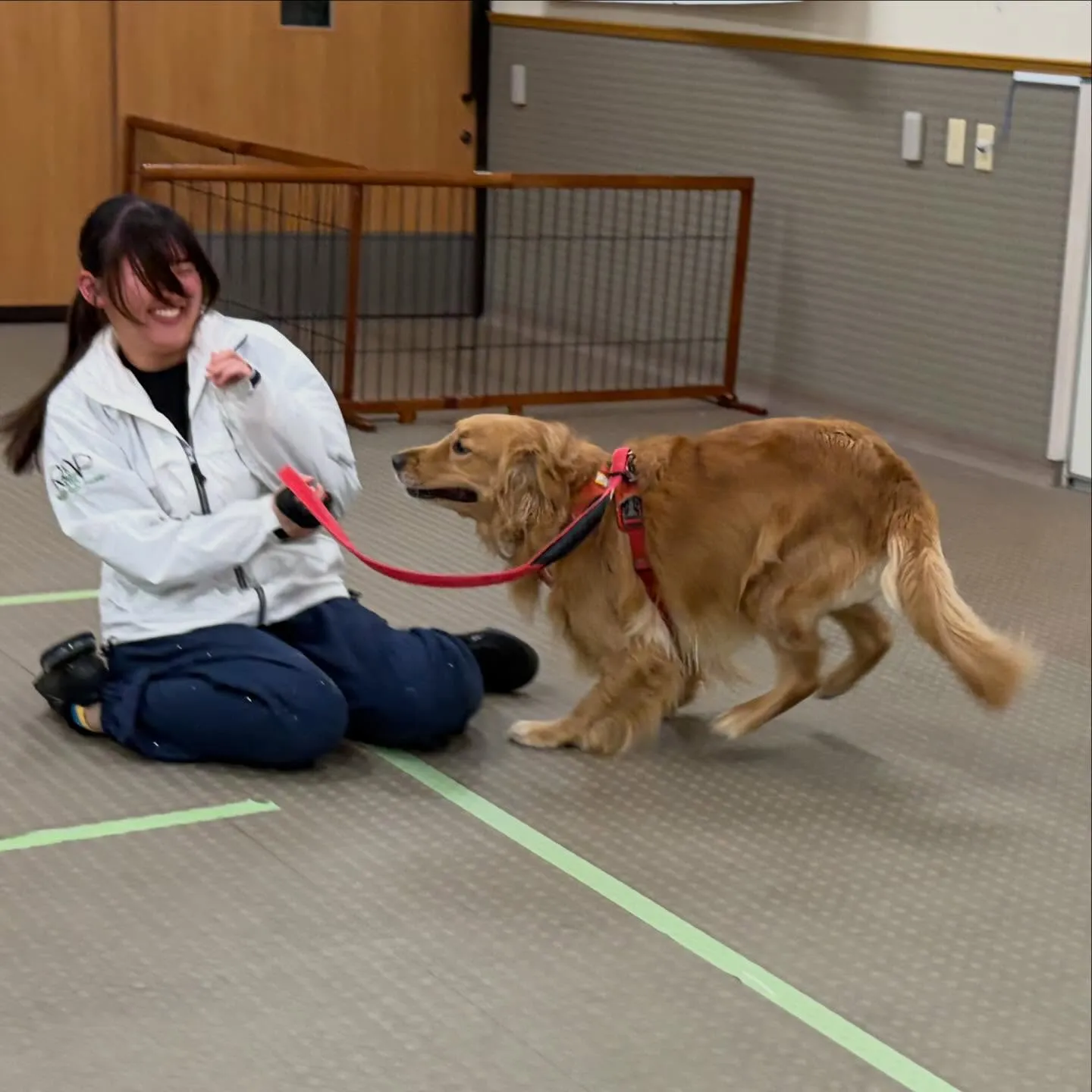 昨日はりんちゃんと一緒に専門学校に行ってきました🐾