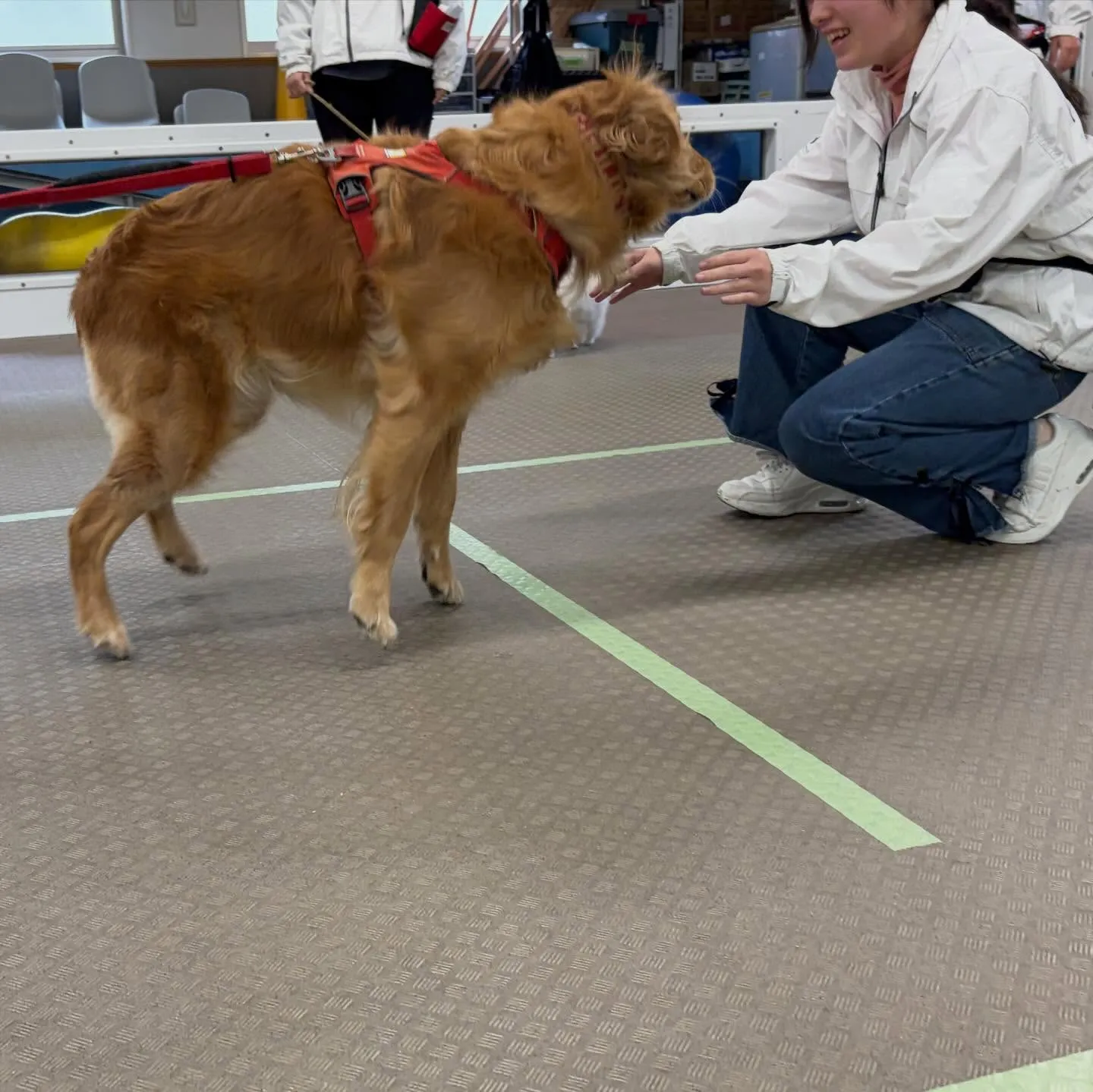昨日はりんちゃんと一緒に専門学校に行ってきました🐾
