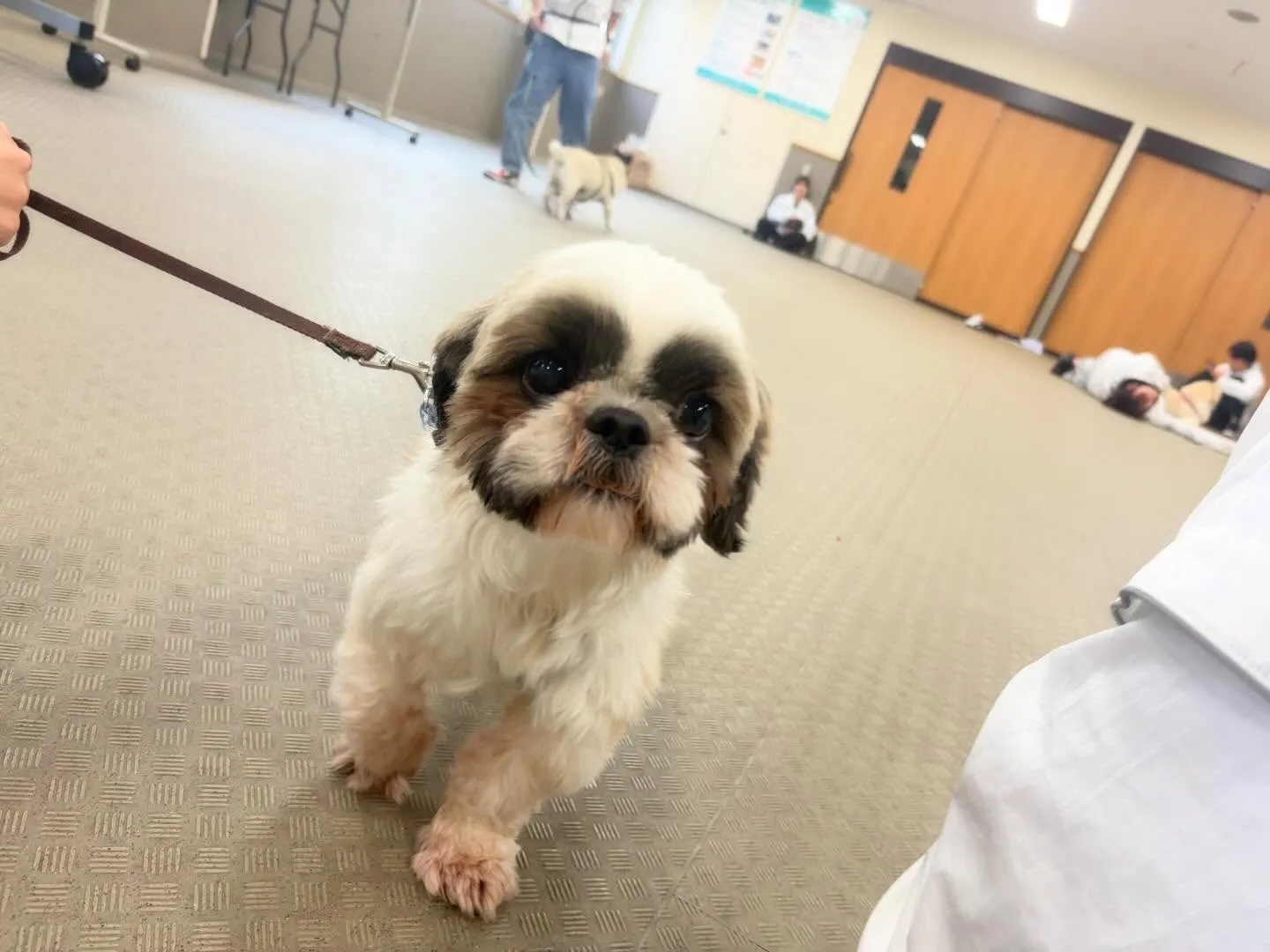 昨日は専門学校𝐝𝐚𝐲でした🏫