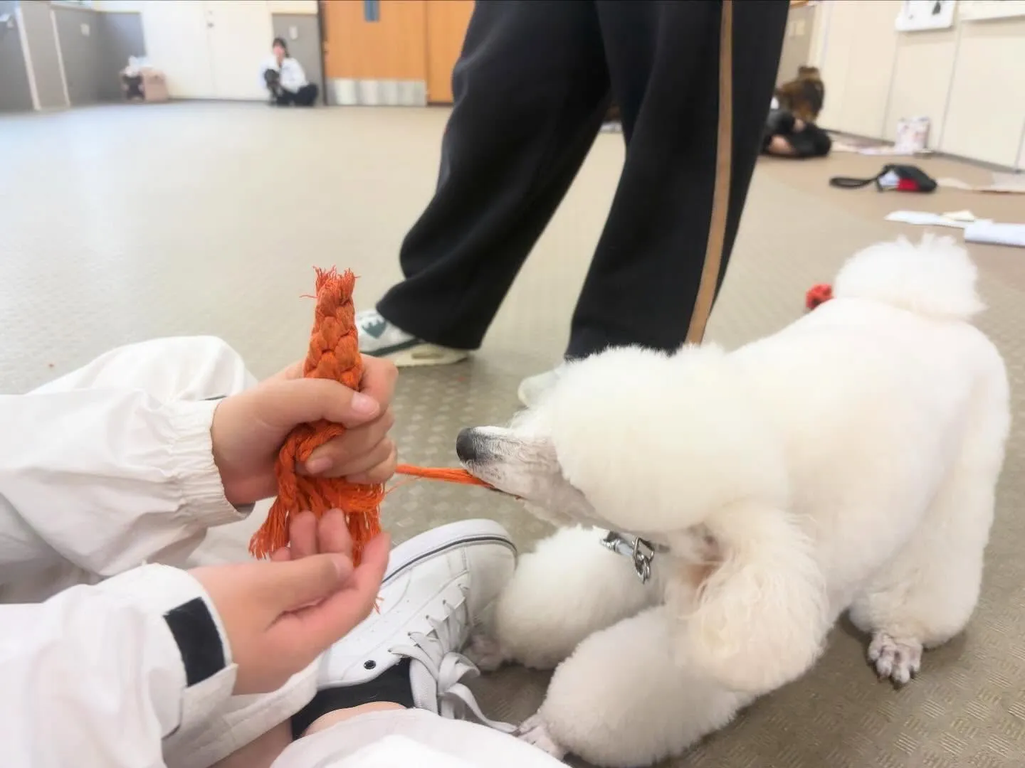 昨日は専門学校𝐝𝐚𝐲でした🏫