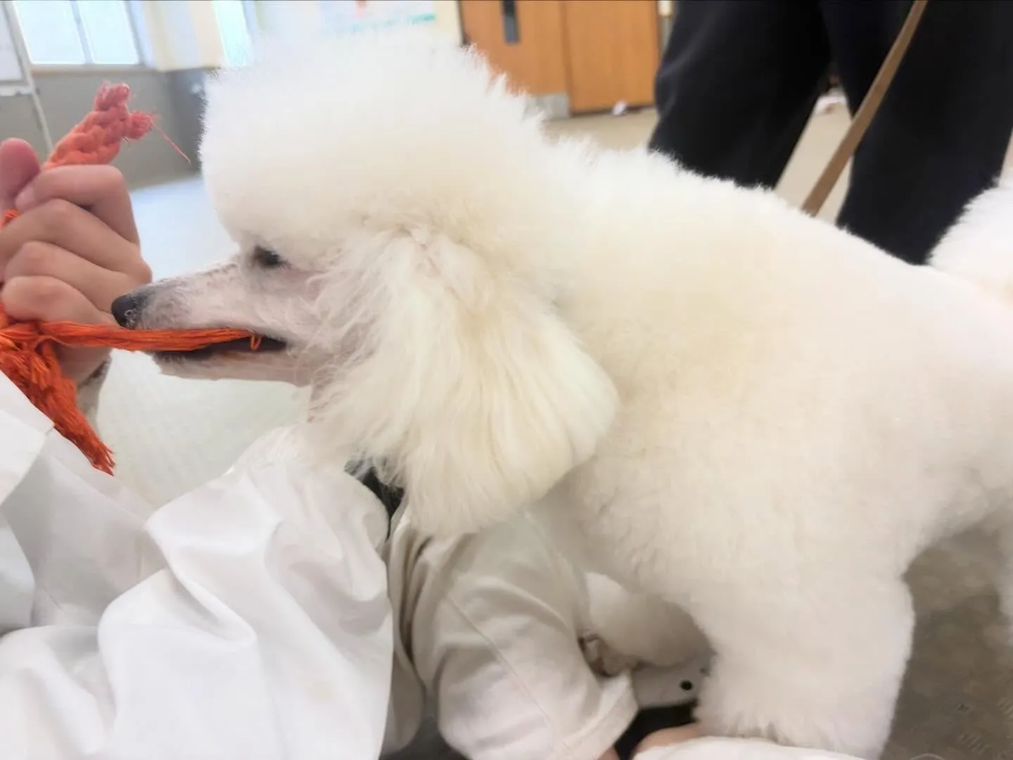 昨日は専門学校𝐝𝐚𝐲でした🏫