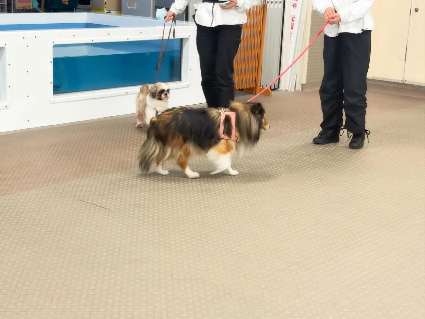 昨日は専門学校𝐝𝐚𝐲でした🏫