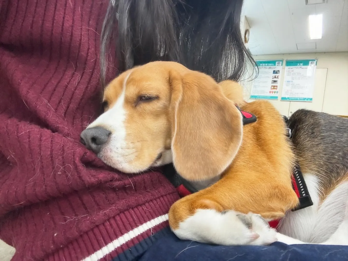 昨日は専門学校𝐝𝐚𝐲でした🏫