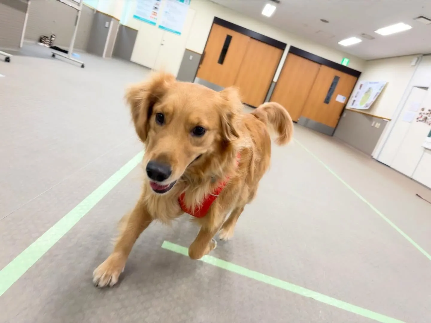 昨日は専門学校𝐝𝐚𝐲でした🏫