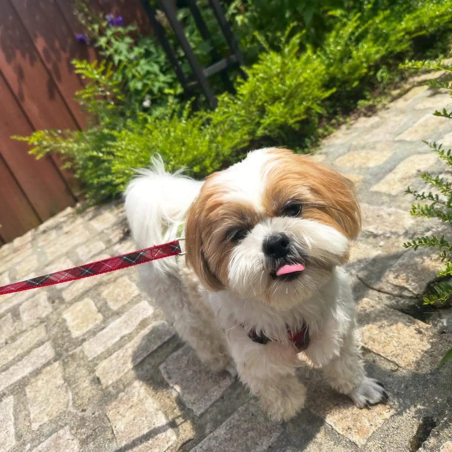 めちゃくちゃ今更になってしまいましたが💦