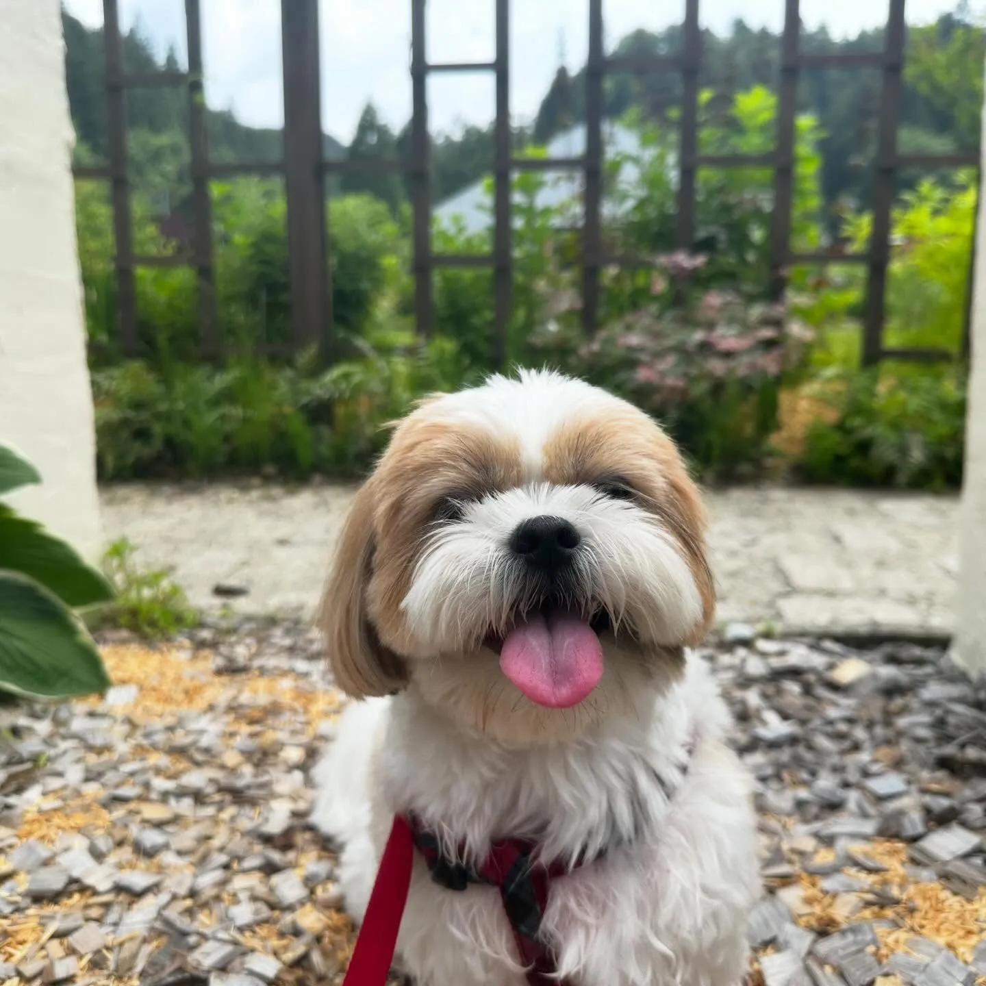 めちゃくちゃ今更になってしまいましたが💦