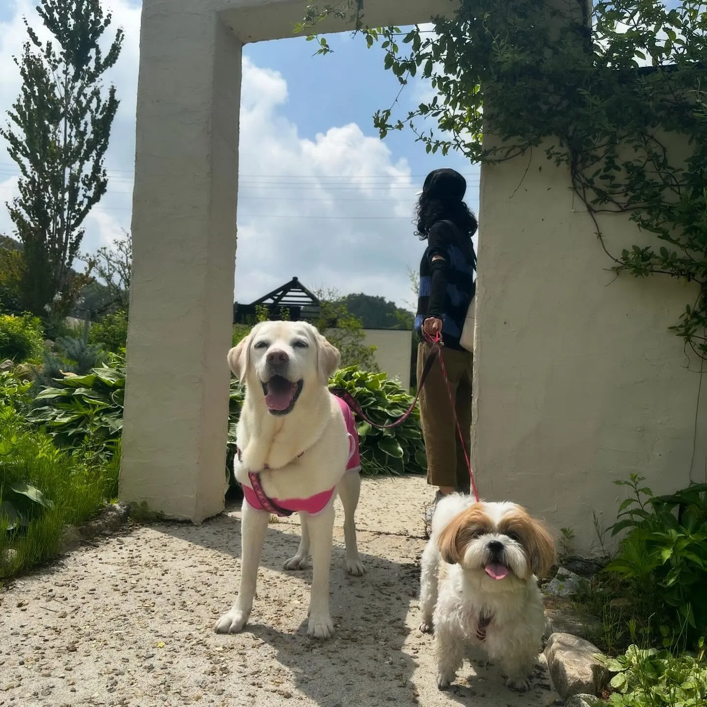 めちゃくちゃ今更になってしまいましたが💦