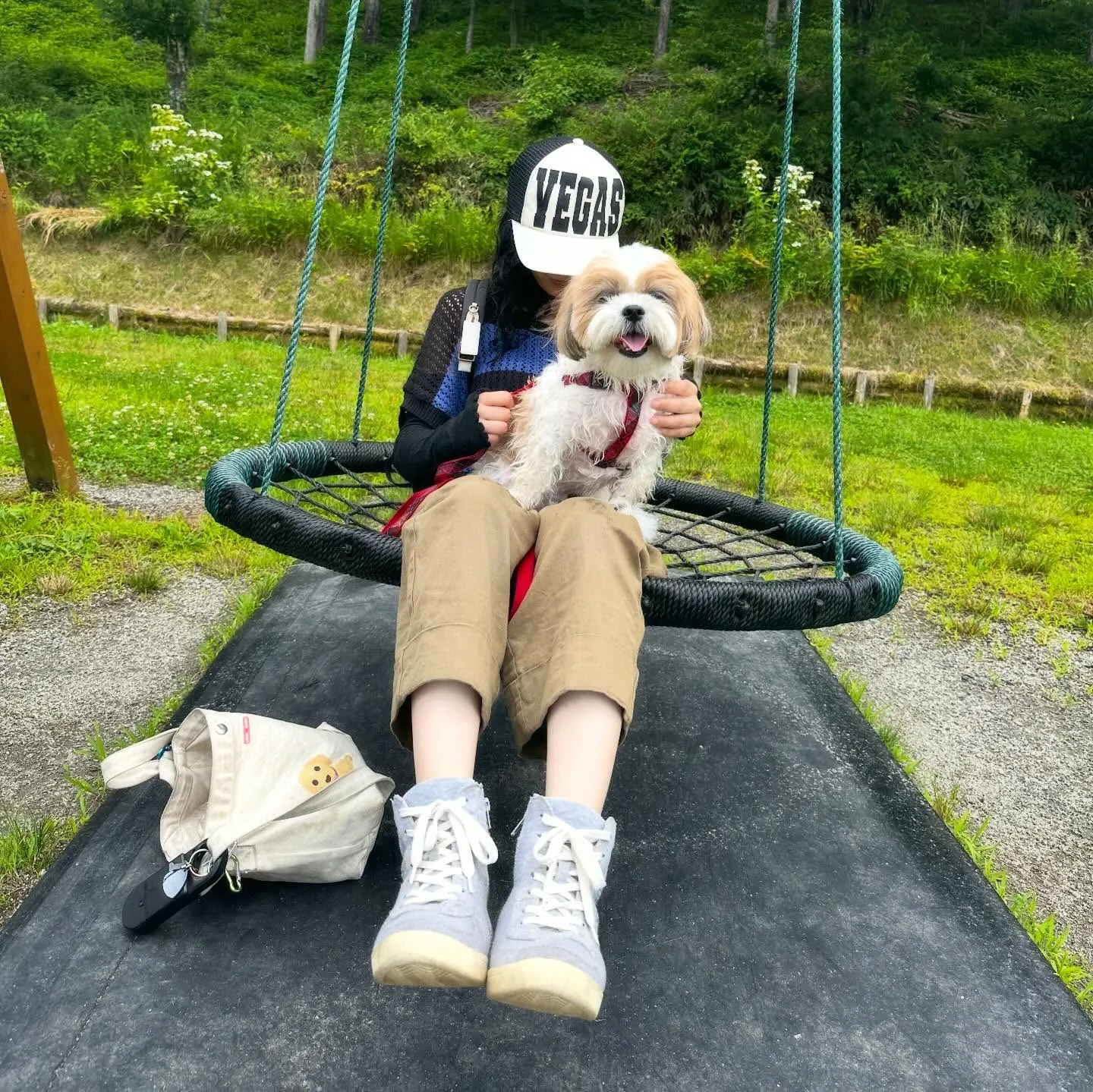 めちゃくちゃ今更になってしまいましたが💦