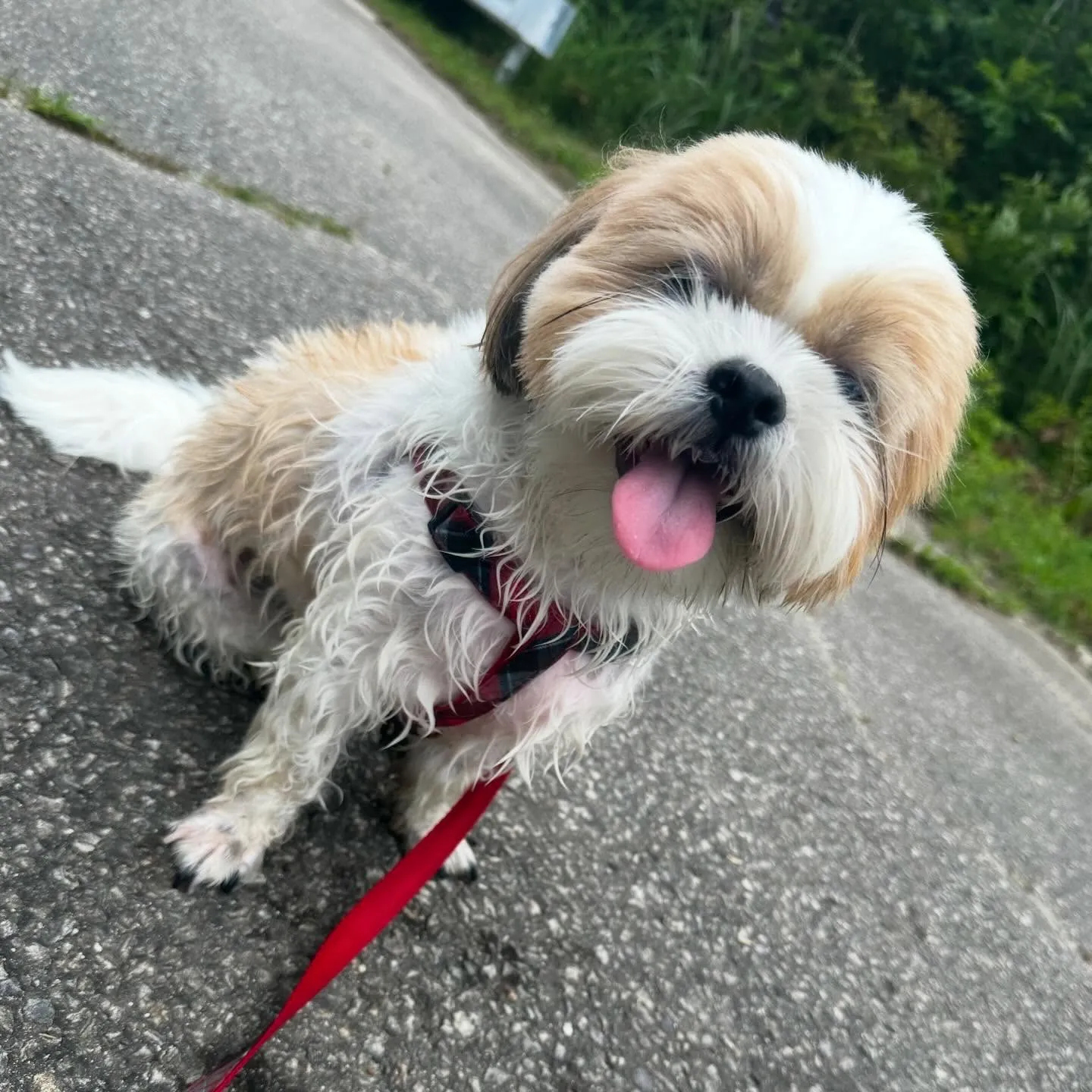 めちゃくちゃ今更になってしまいましたが💦