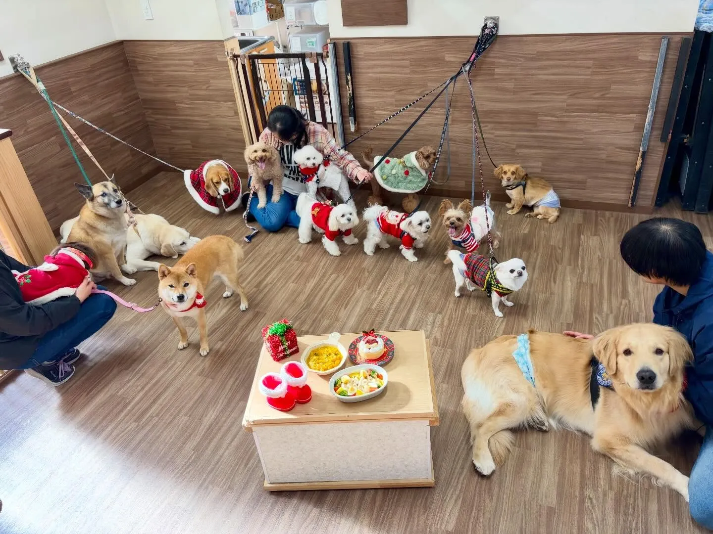 23日はクリスマスイベント開催してました🎅