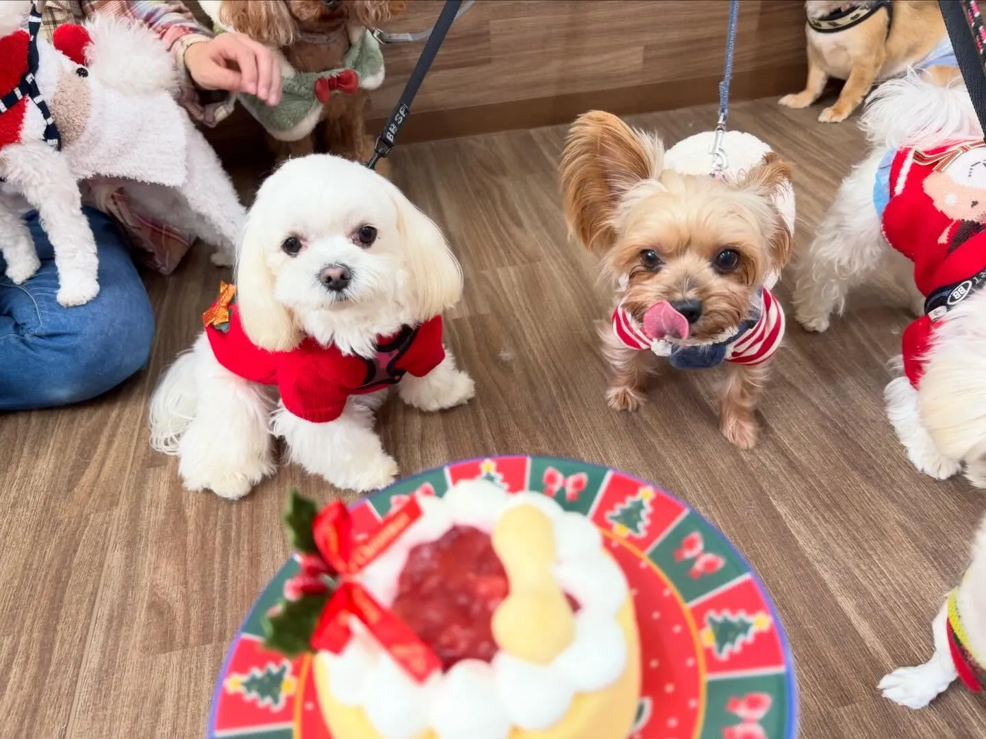 23日はクリスマスイベント開催してました🎅