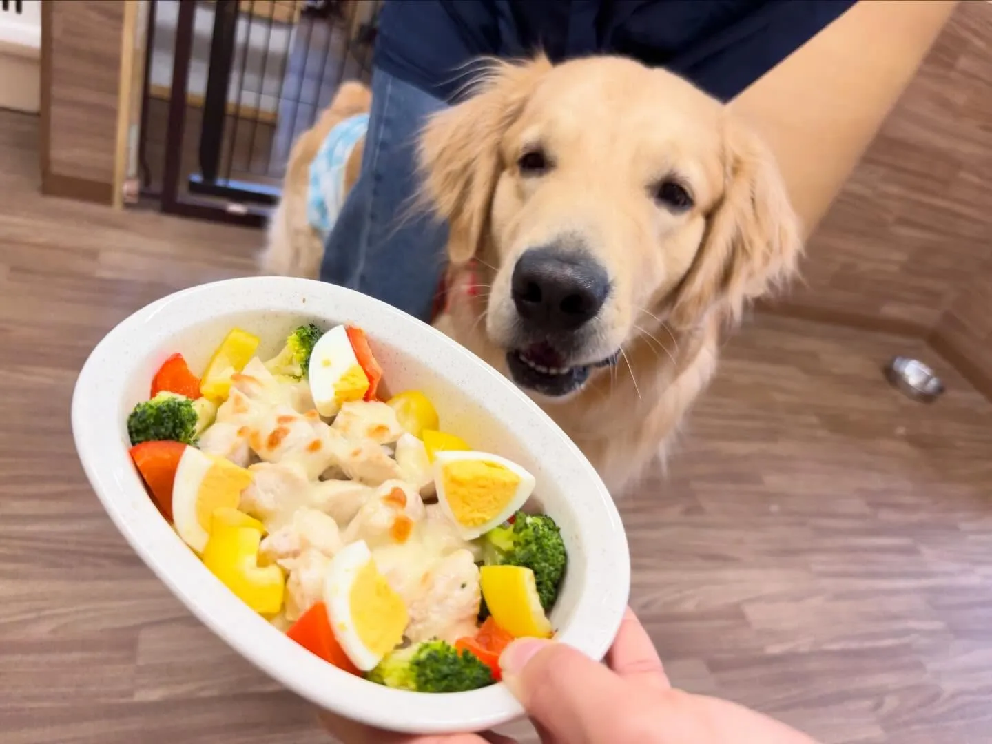 23日はクリスマスイベント開催してました🎅