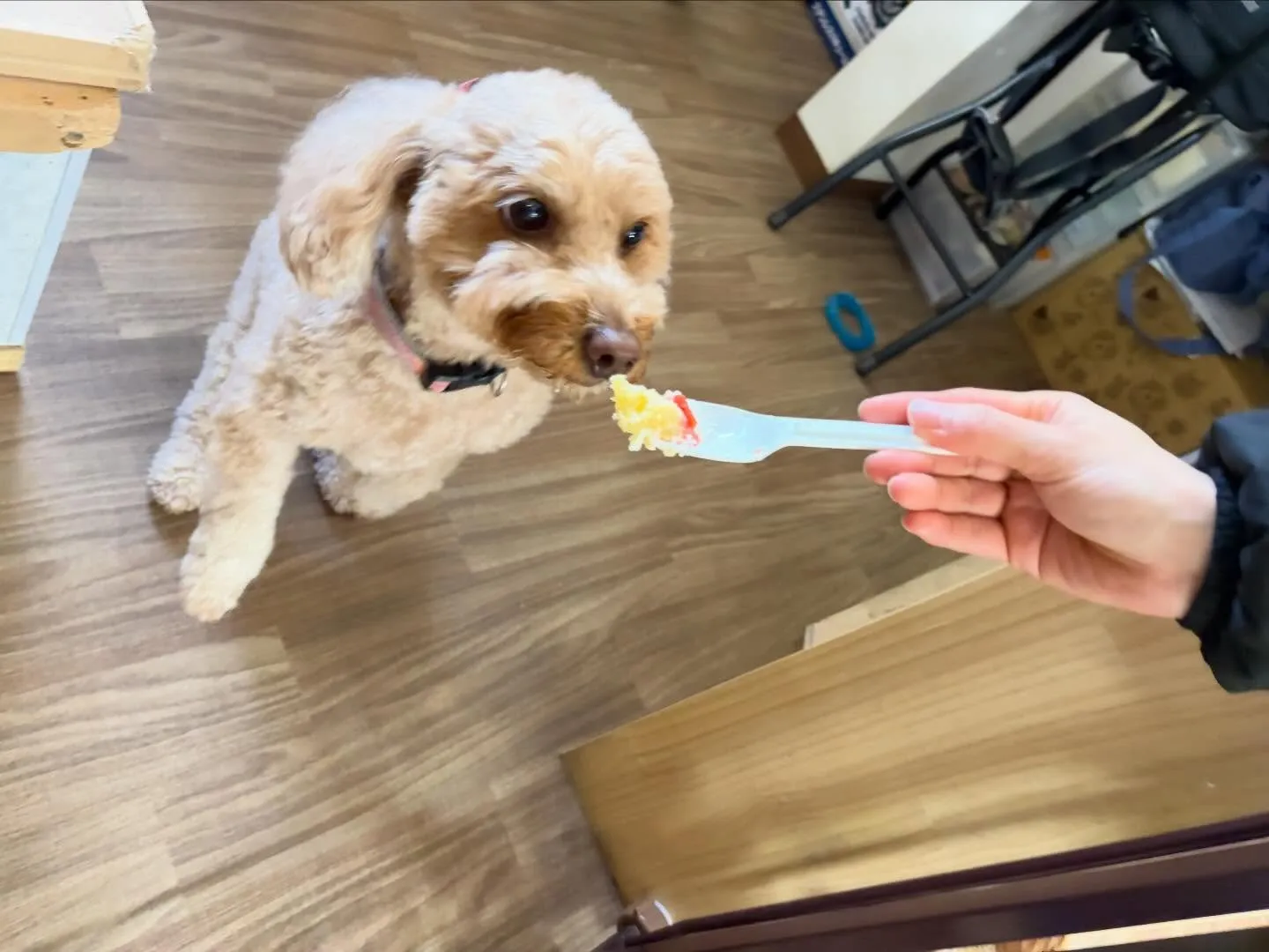 23日はクリスマスイベント開催してました🎅