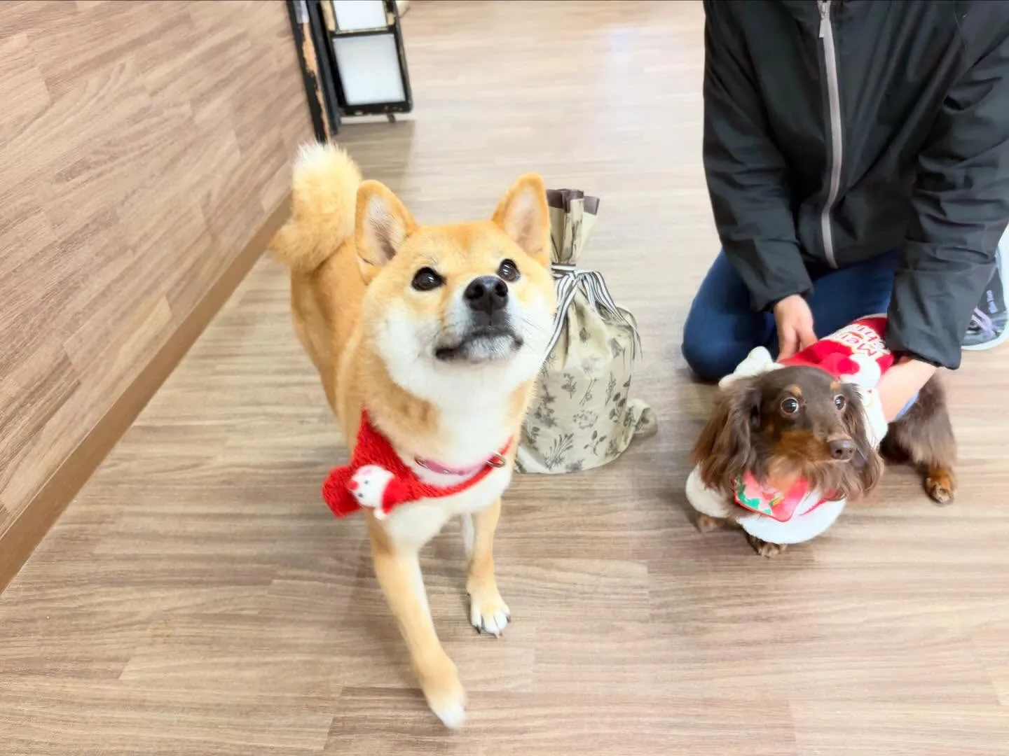 23日はクリスマスイベント開催してました🎅