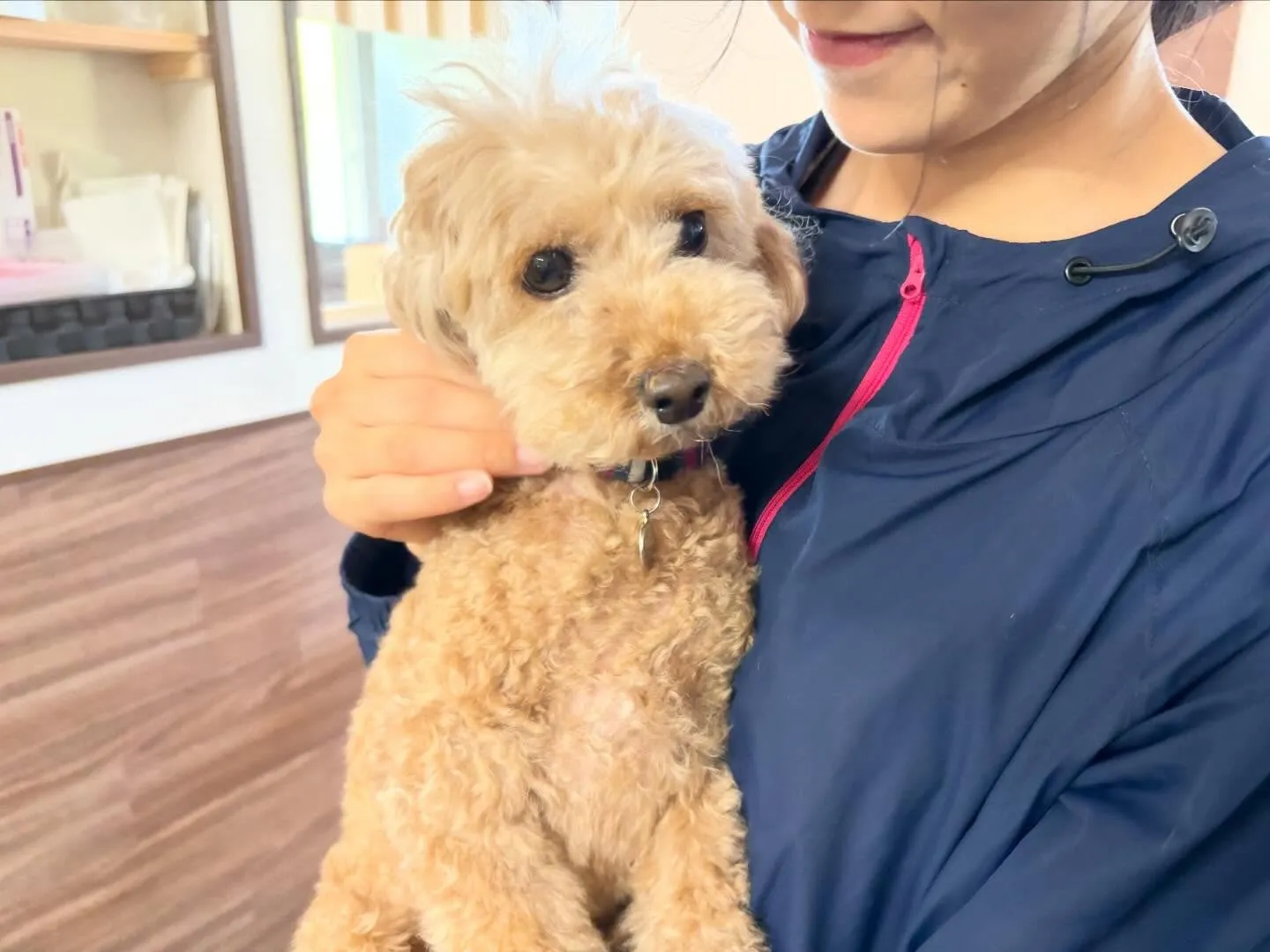 入会してくれたくるみちゃんです🌼